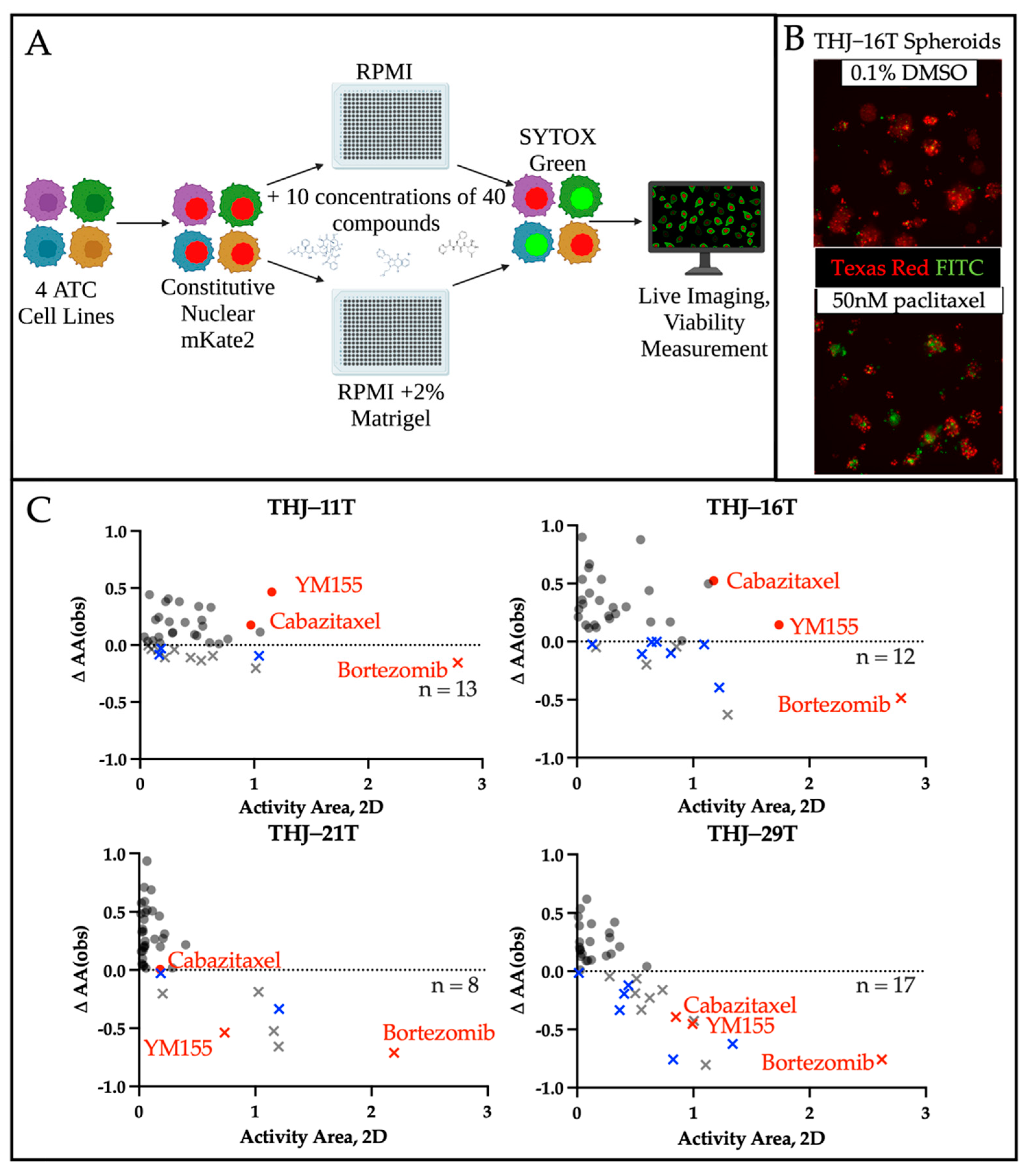 Cancers 14 01855 g004 Cancers 14 01855 g004