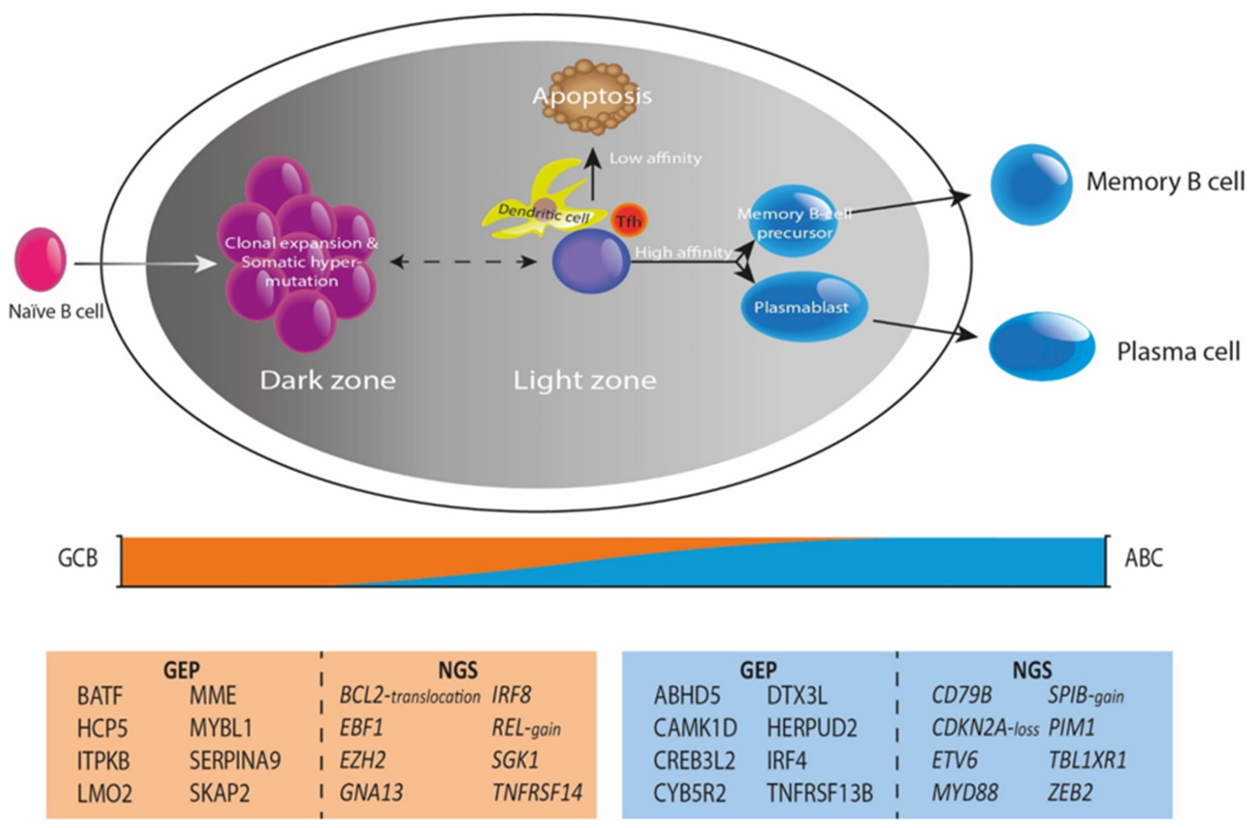 Cancers 14 01857 g002