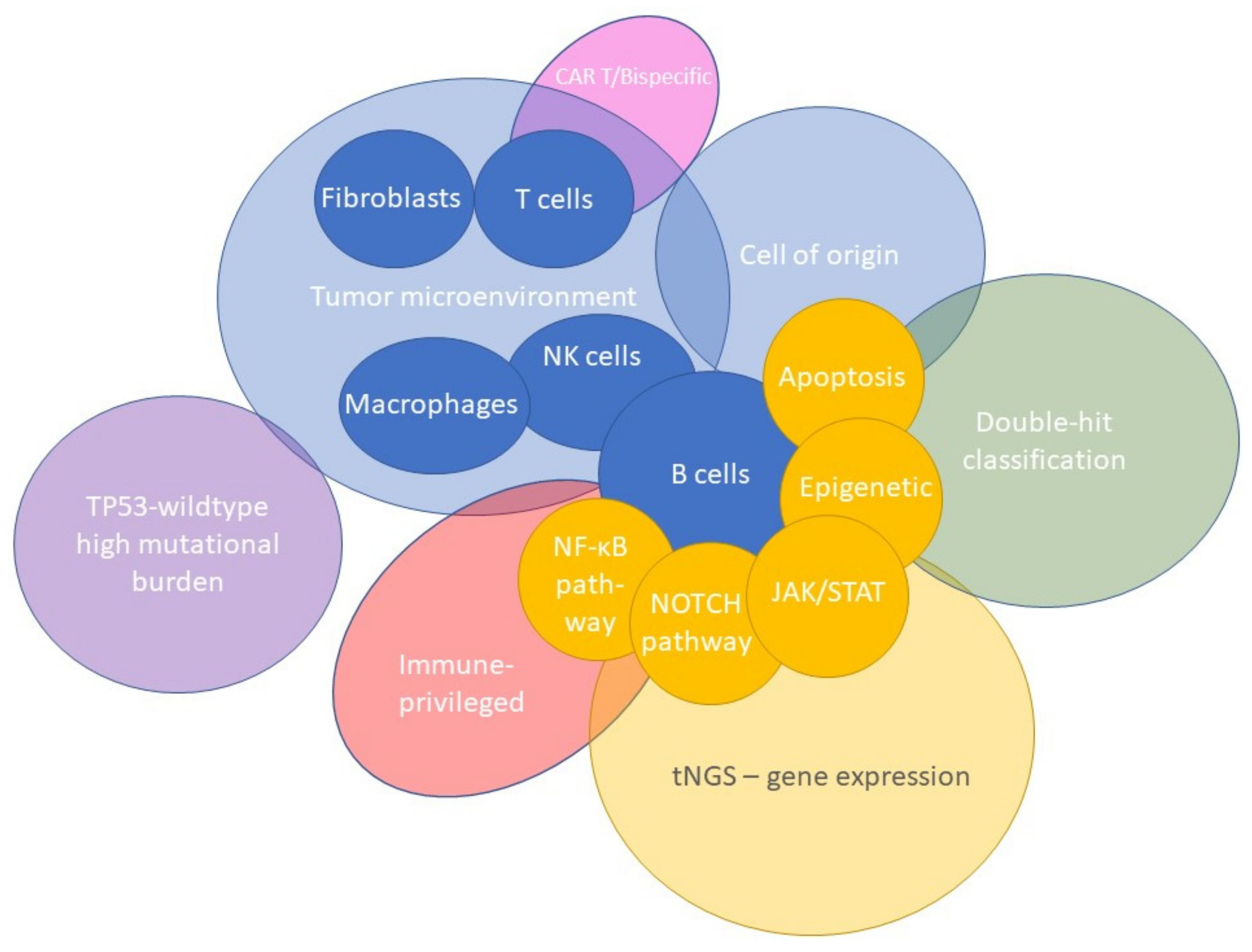 Cancers 14 01857 g006