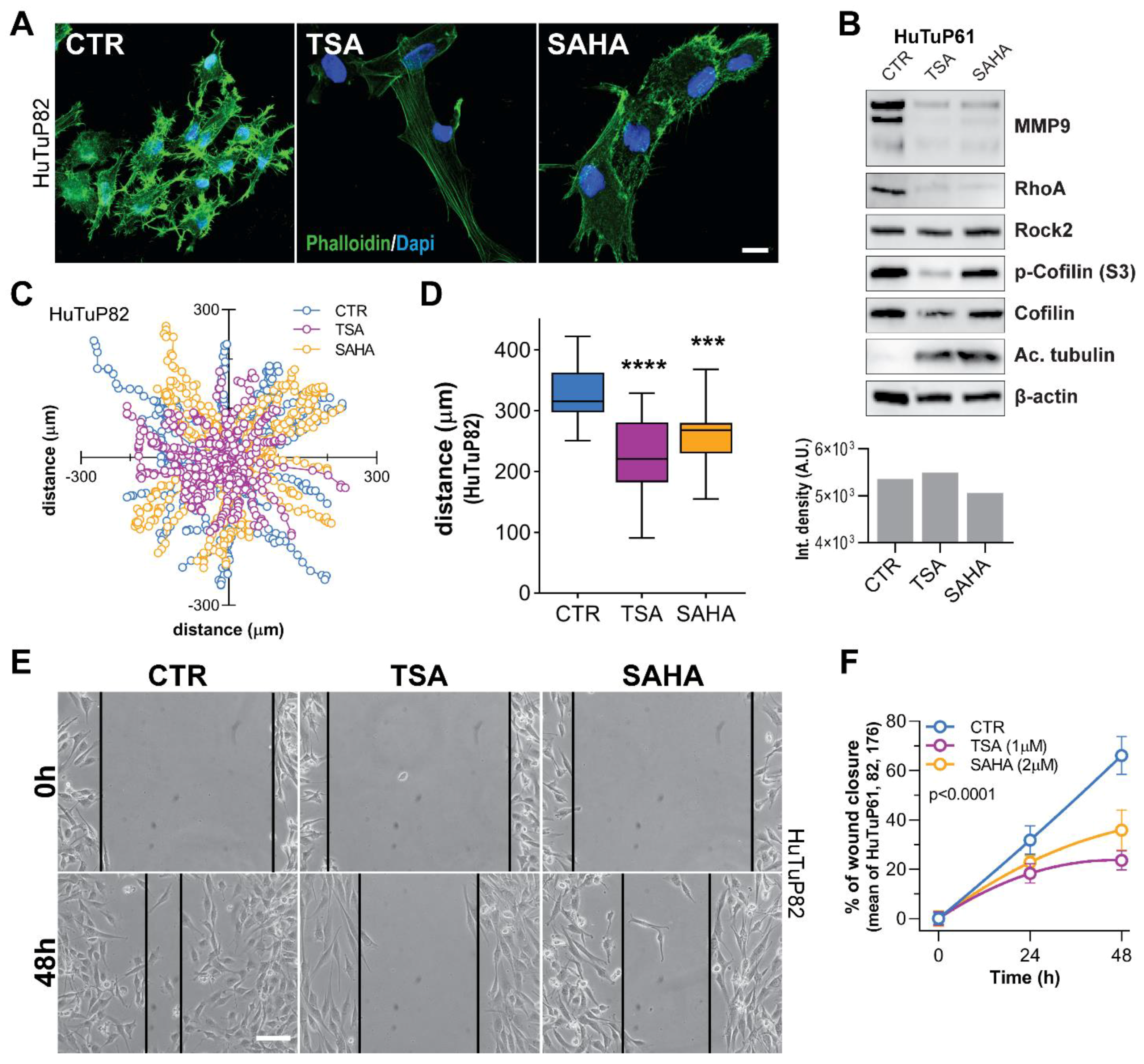 Cancers 14 01897 g006 Cancers 14 01897 g006