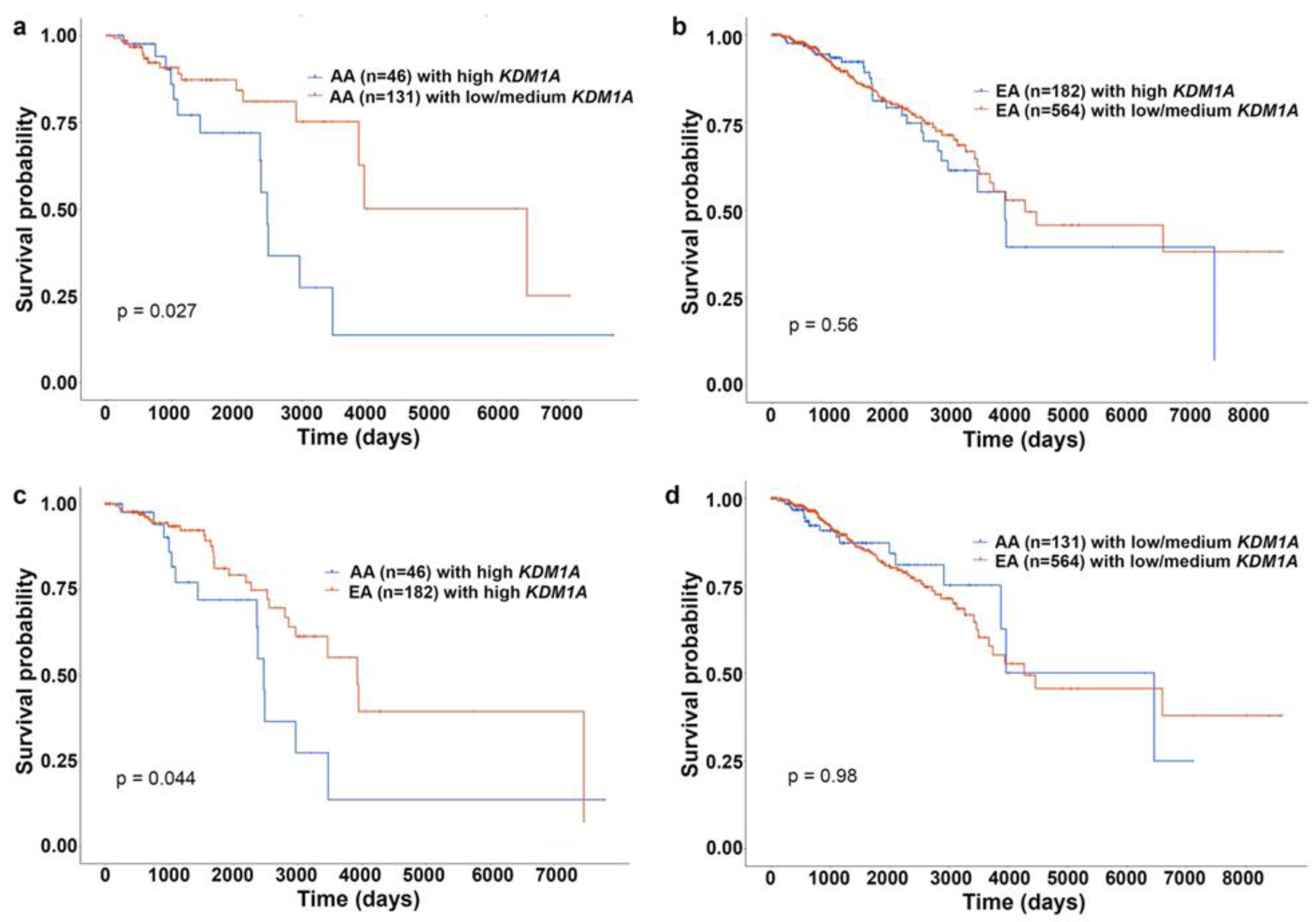 Cancers 14 01903 g004