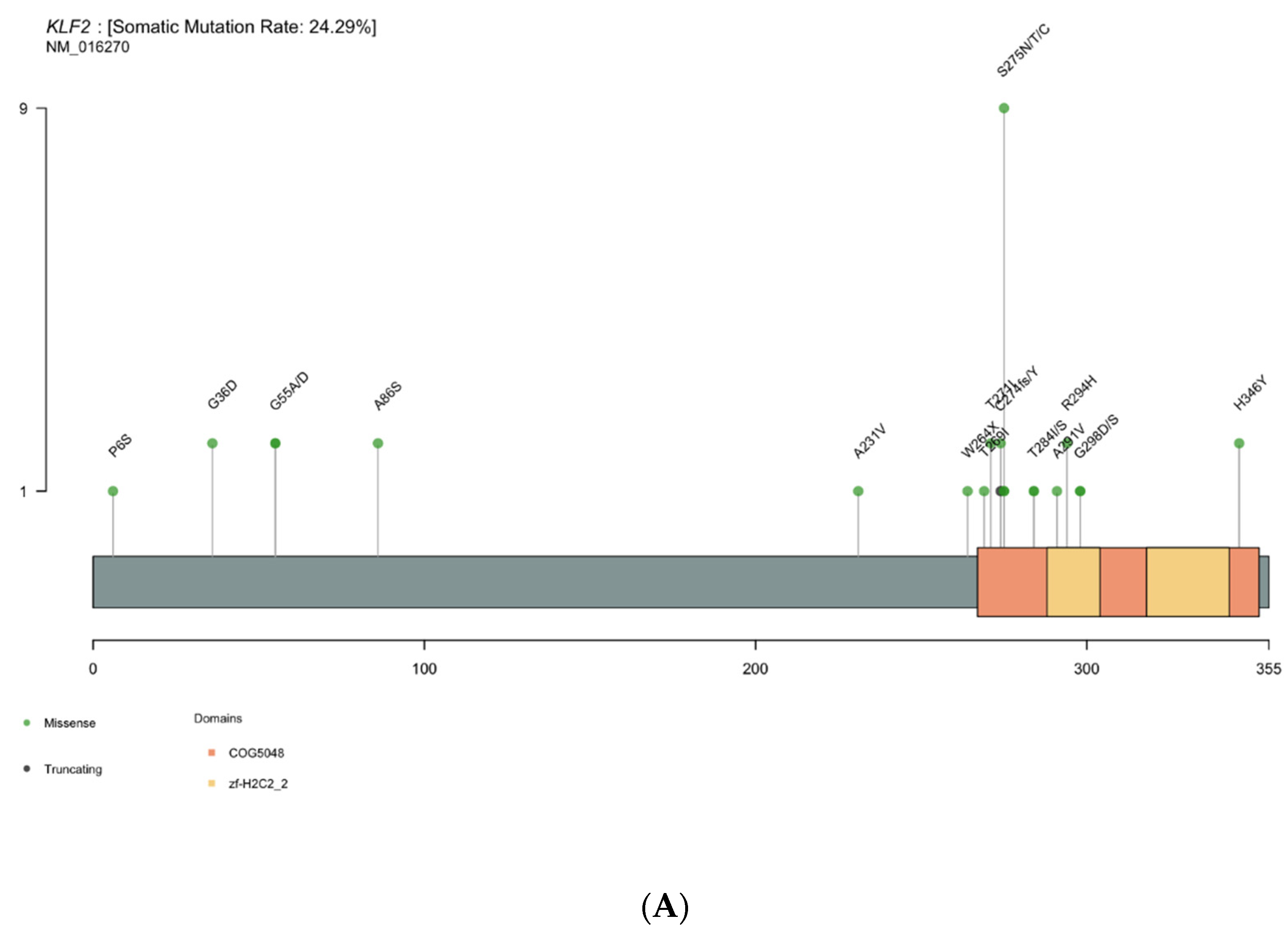 Cancers 14 01904 g003a