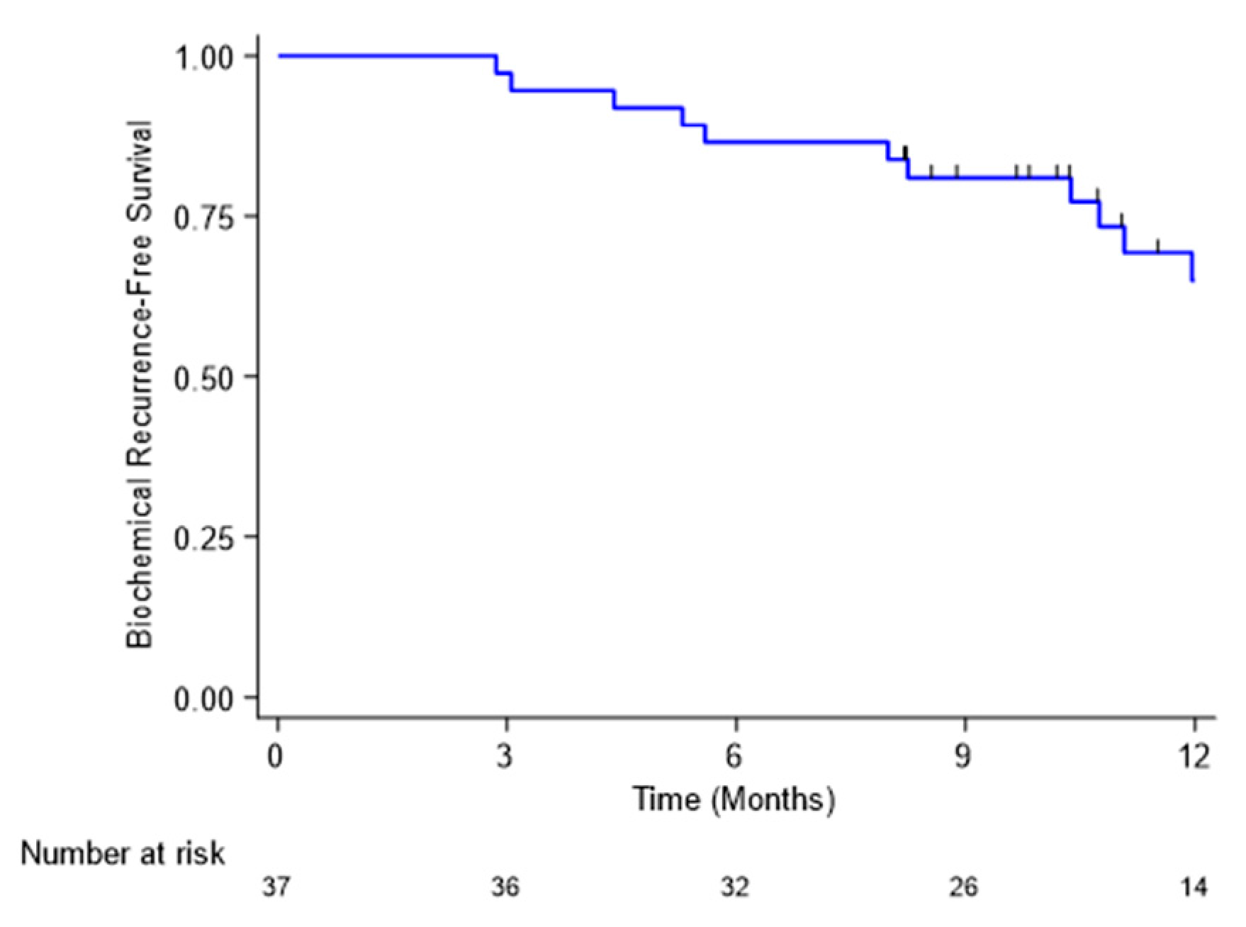 Cancers 14 01943 g001