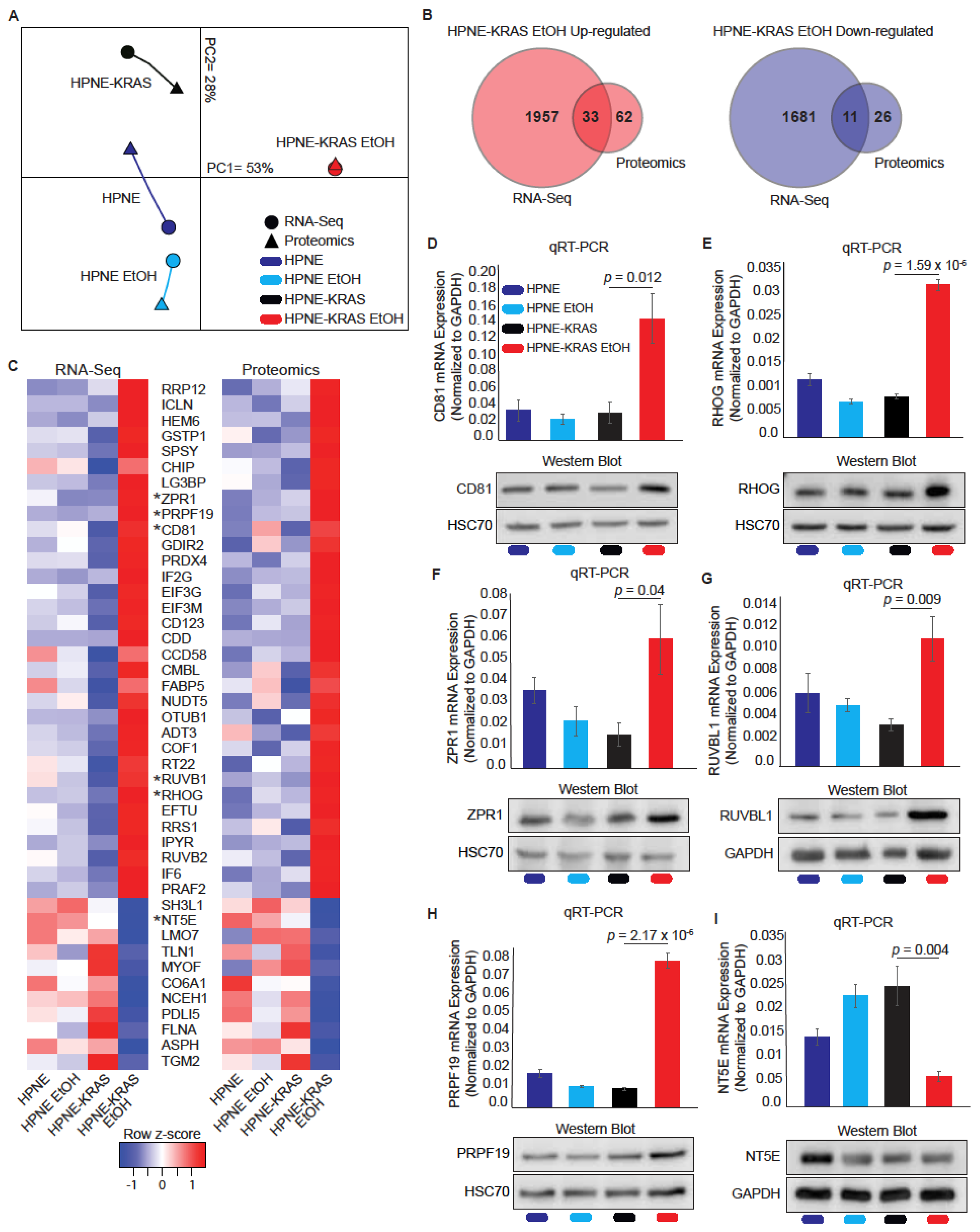 Cancers 14 01968 g005