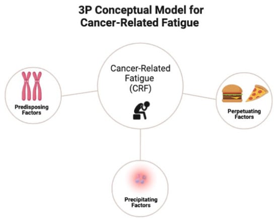 Methodology of the DCCSS later fatigue study: a model to investigate  chronic fatigue in long-term survivors of childhood cancer, BMC Medical  Research Methodology