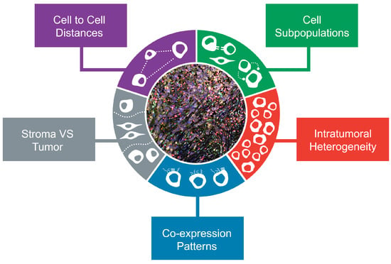 Cellular heterogeneity and immune microenvironment revealed by