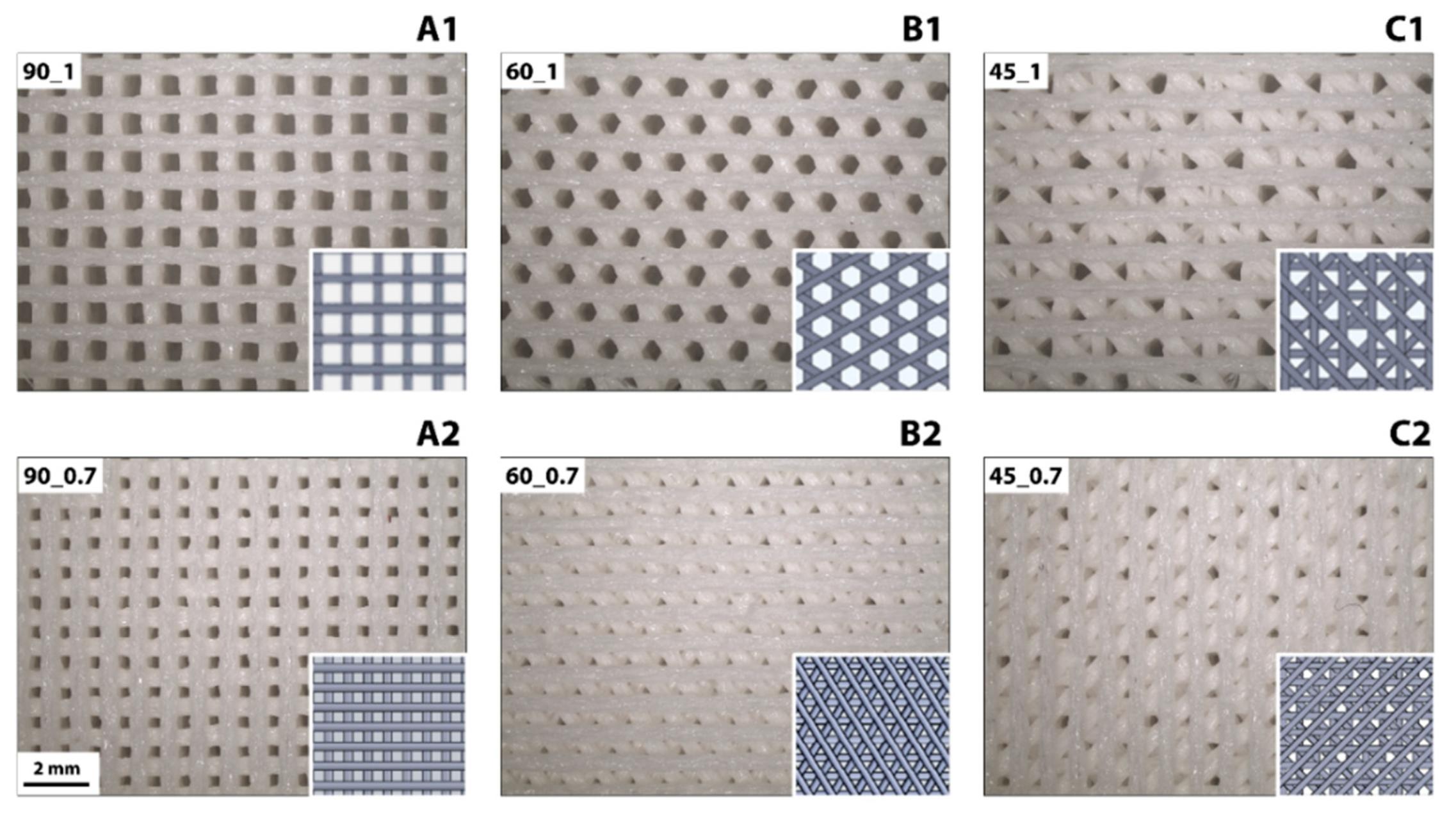 Cancers 14 02003 g001