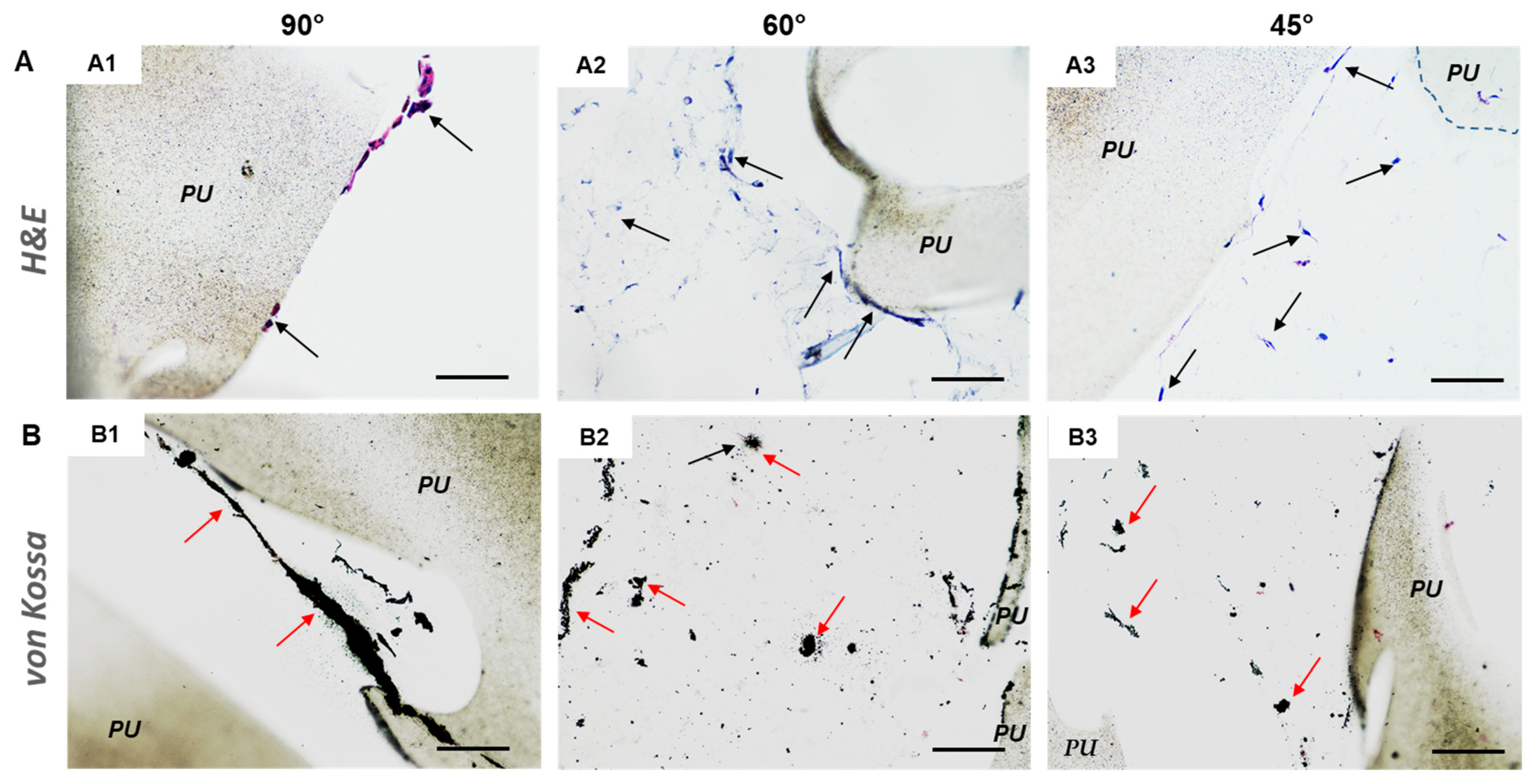 Cancers 14 02003 g006