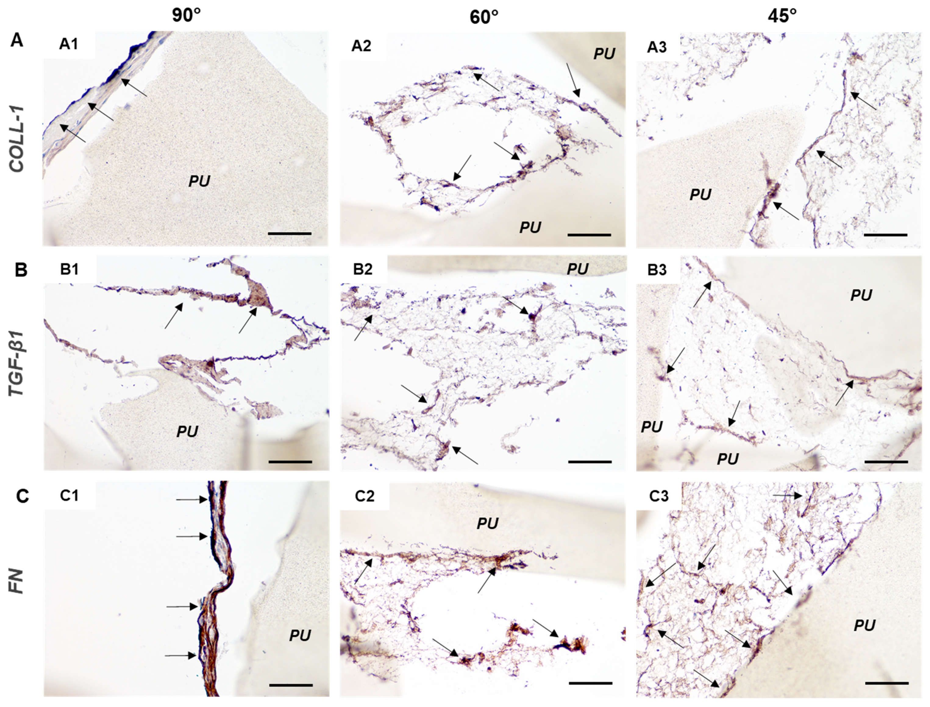 Cancers 14 02003 g008