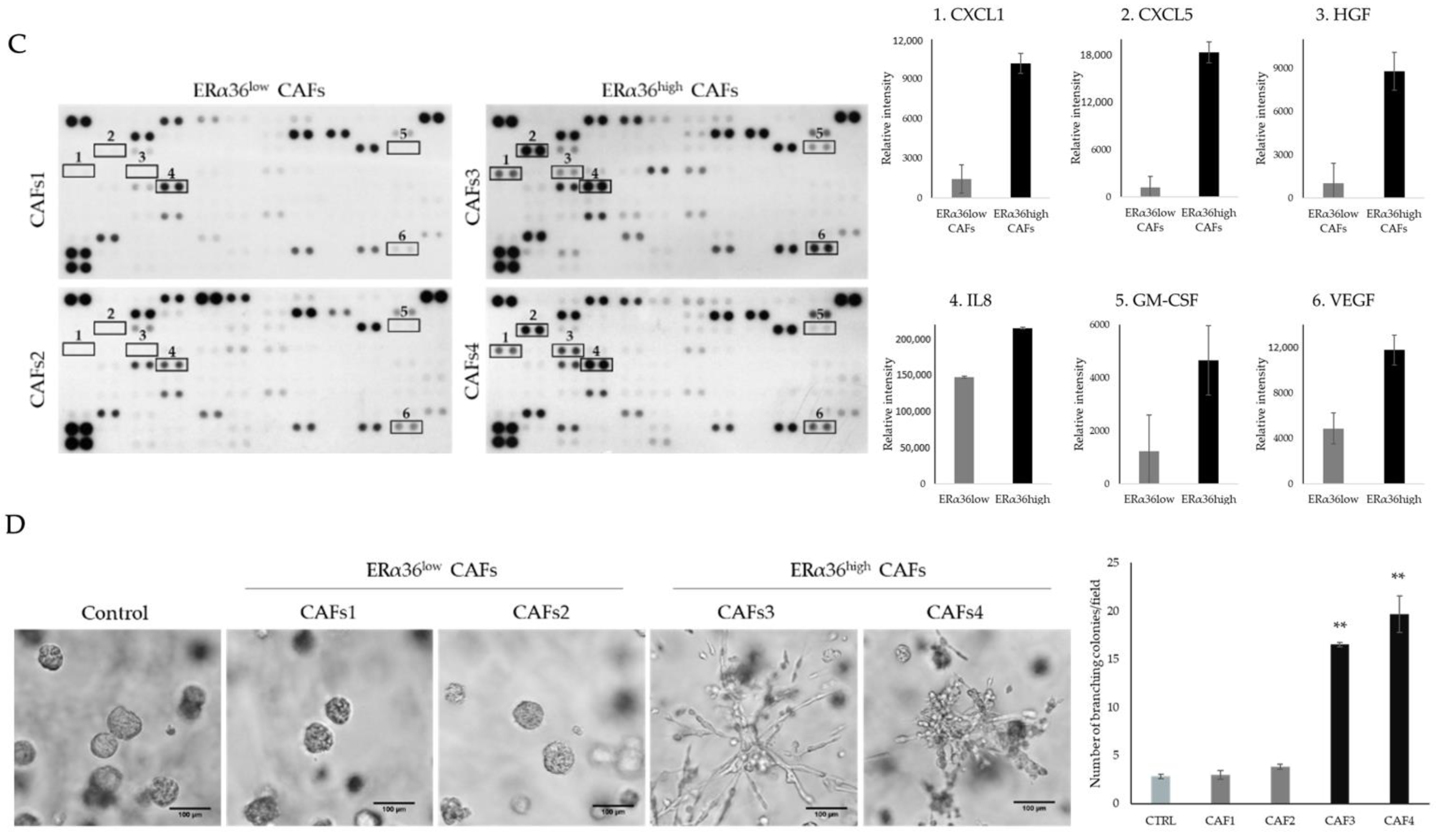 Cancers 14 02005 g001b