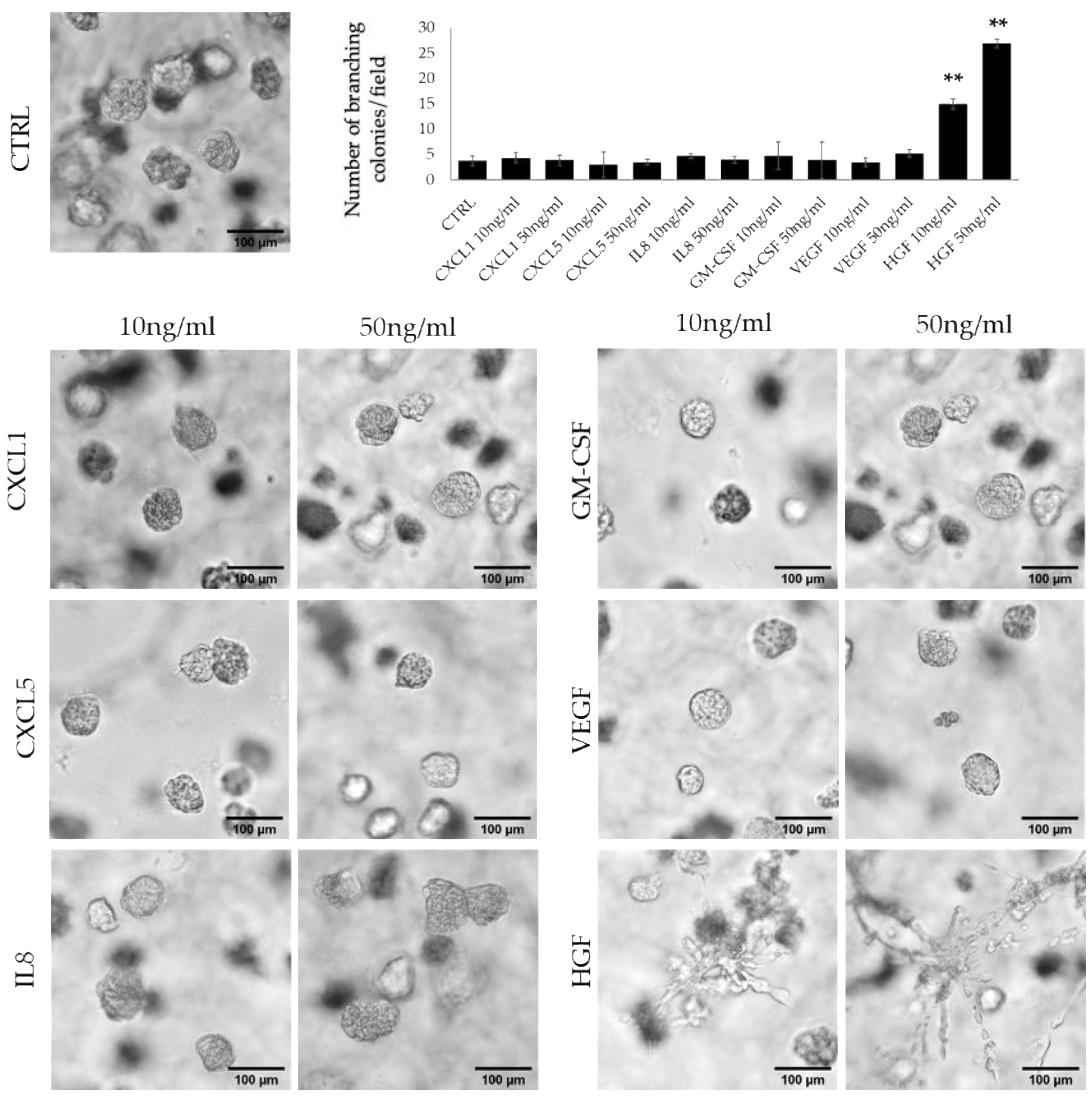 Cancers 14 02005 g002