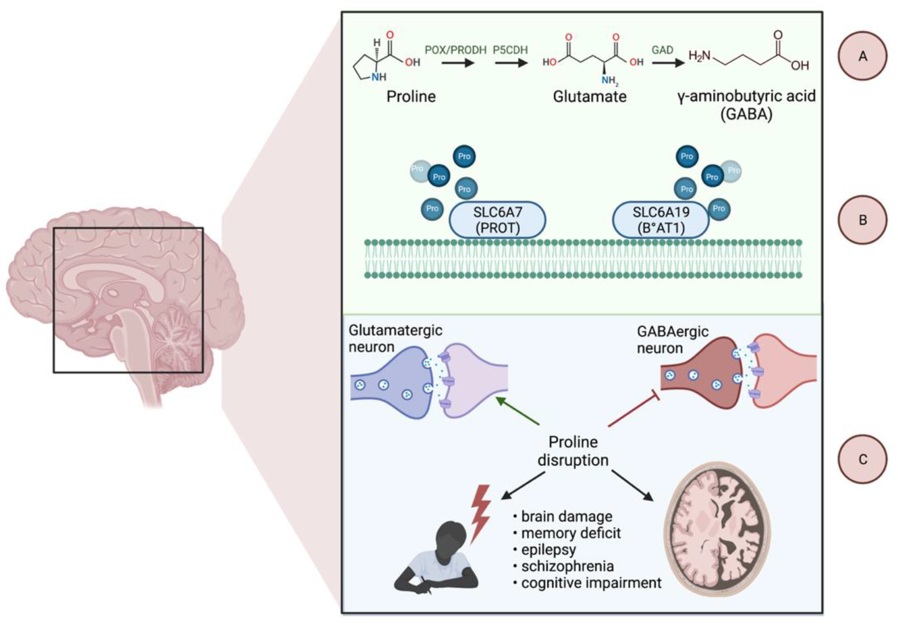 Cancers 14 02030 g002