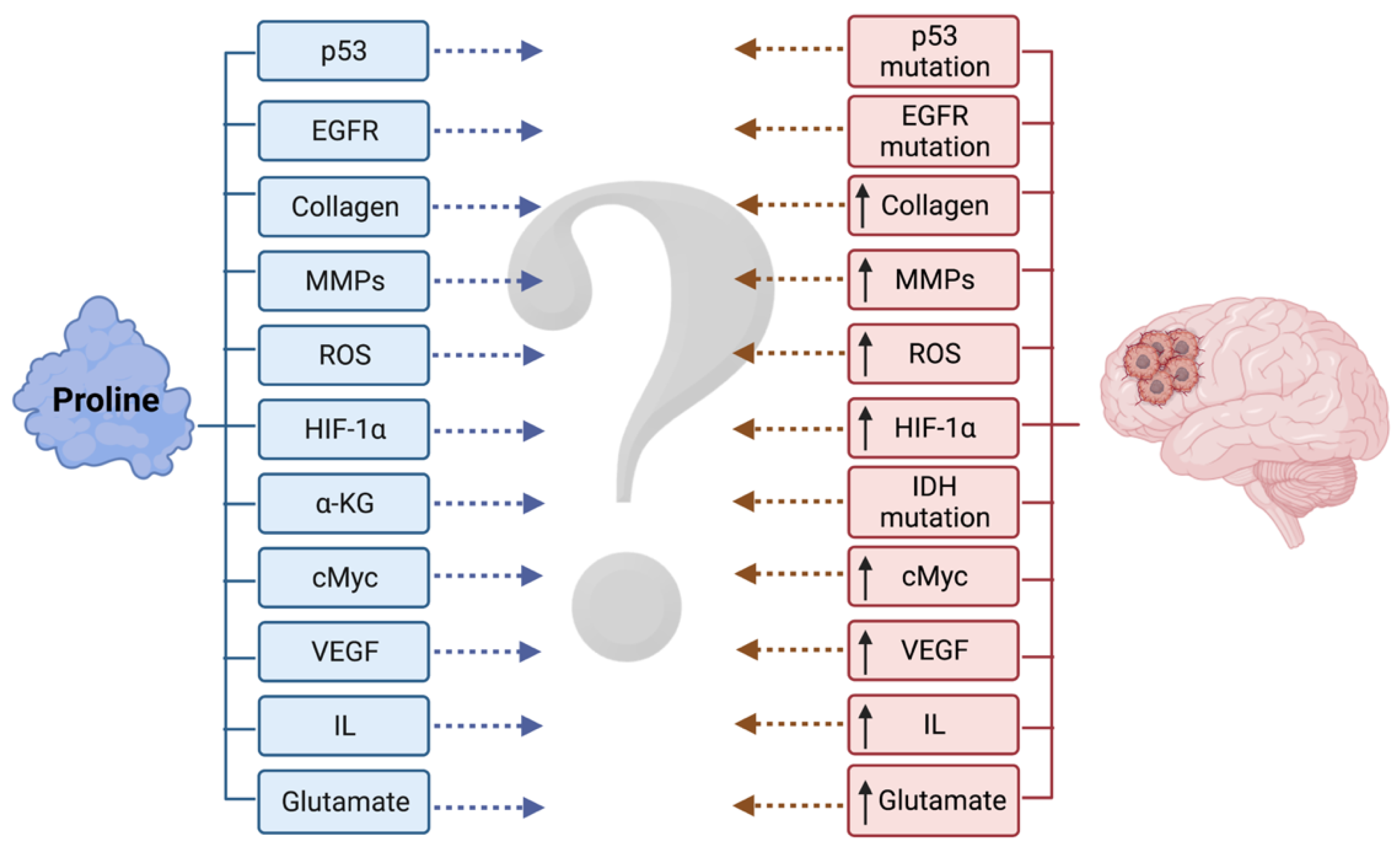 Cancers 14 02030 g004