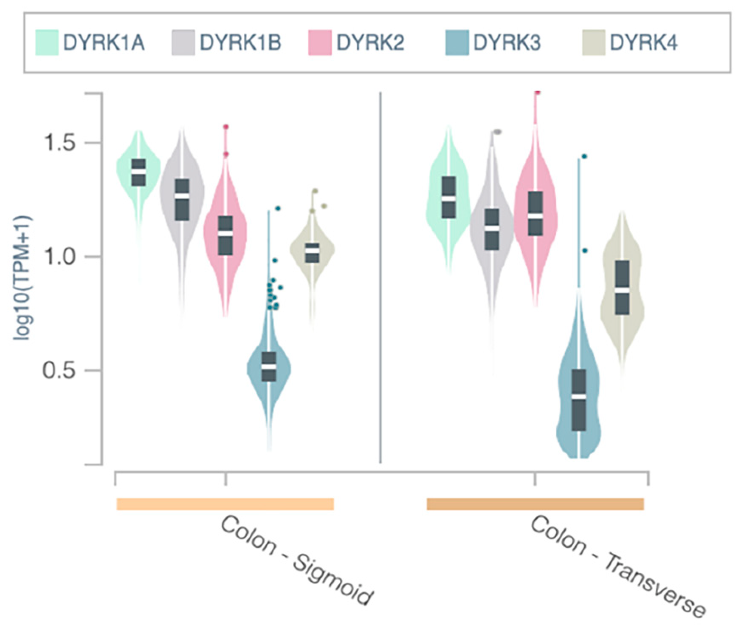 Help with stats. I use portal and CDK mainly. Is this fine?? : r