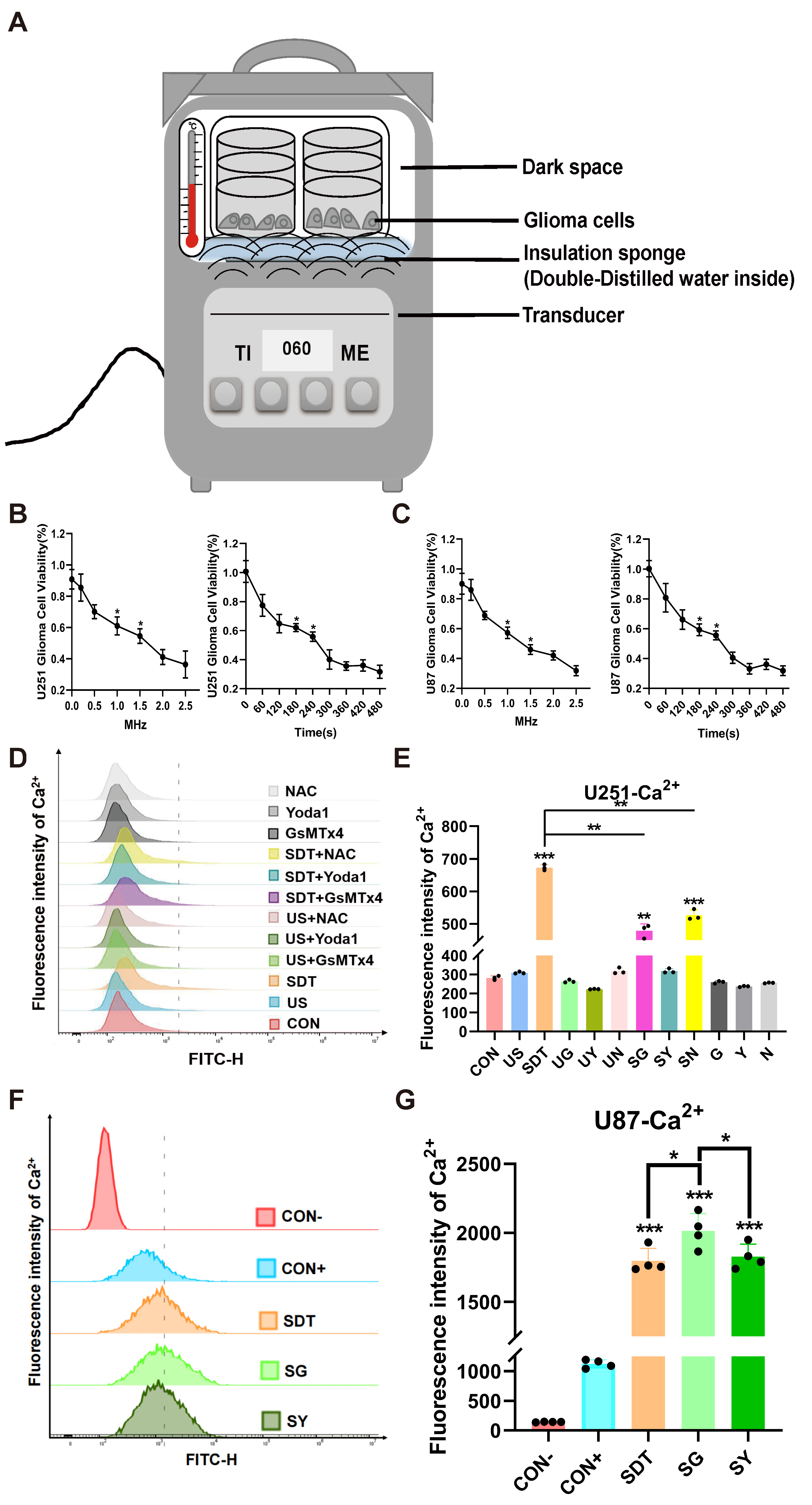 Cancers 14 02036 g001
