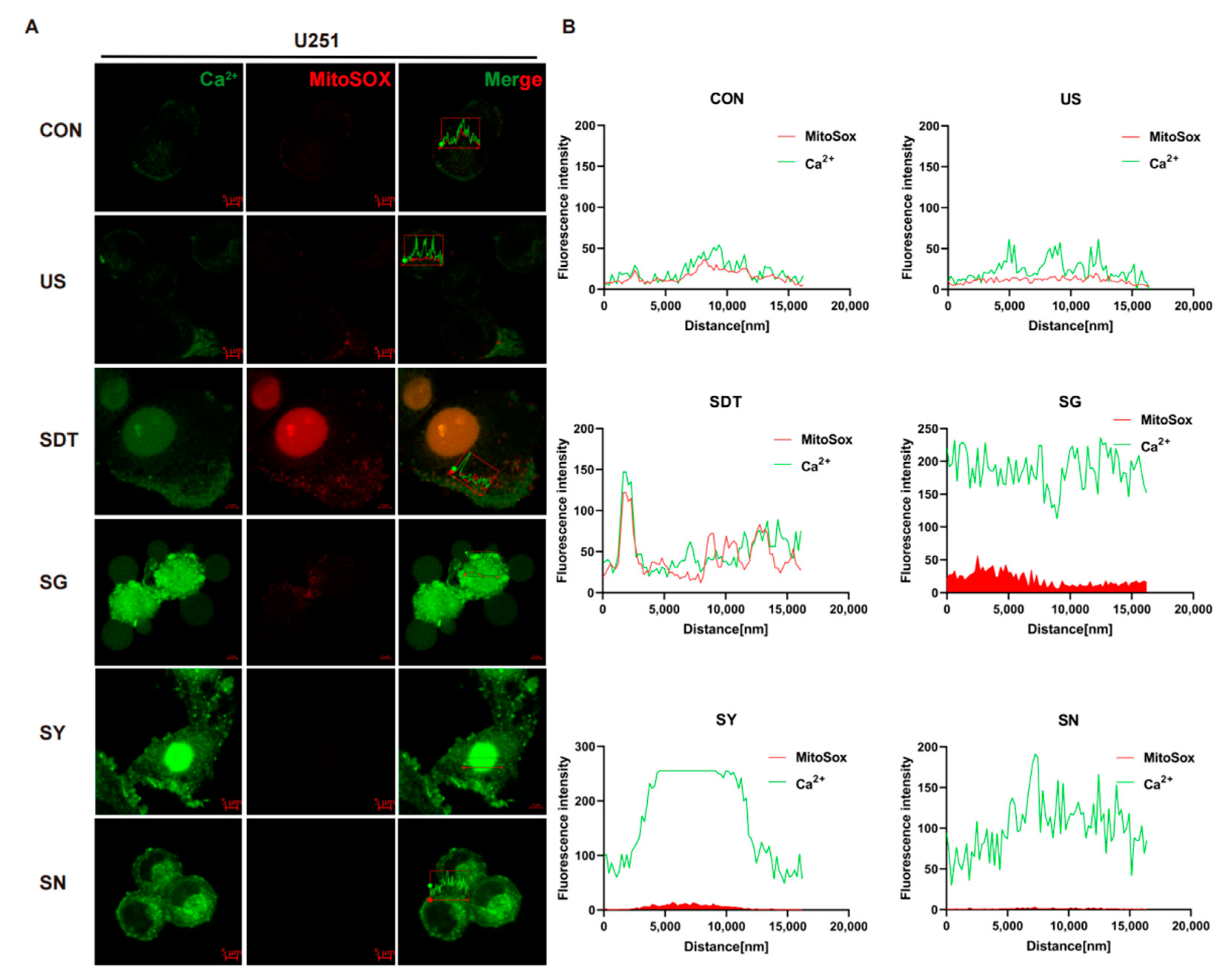 Cancers 14 02036 g002