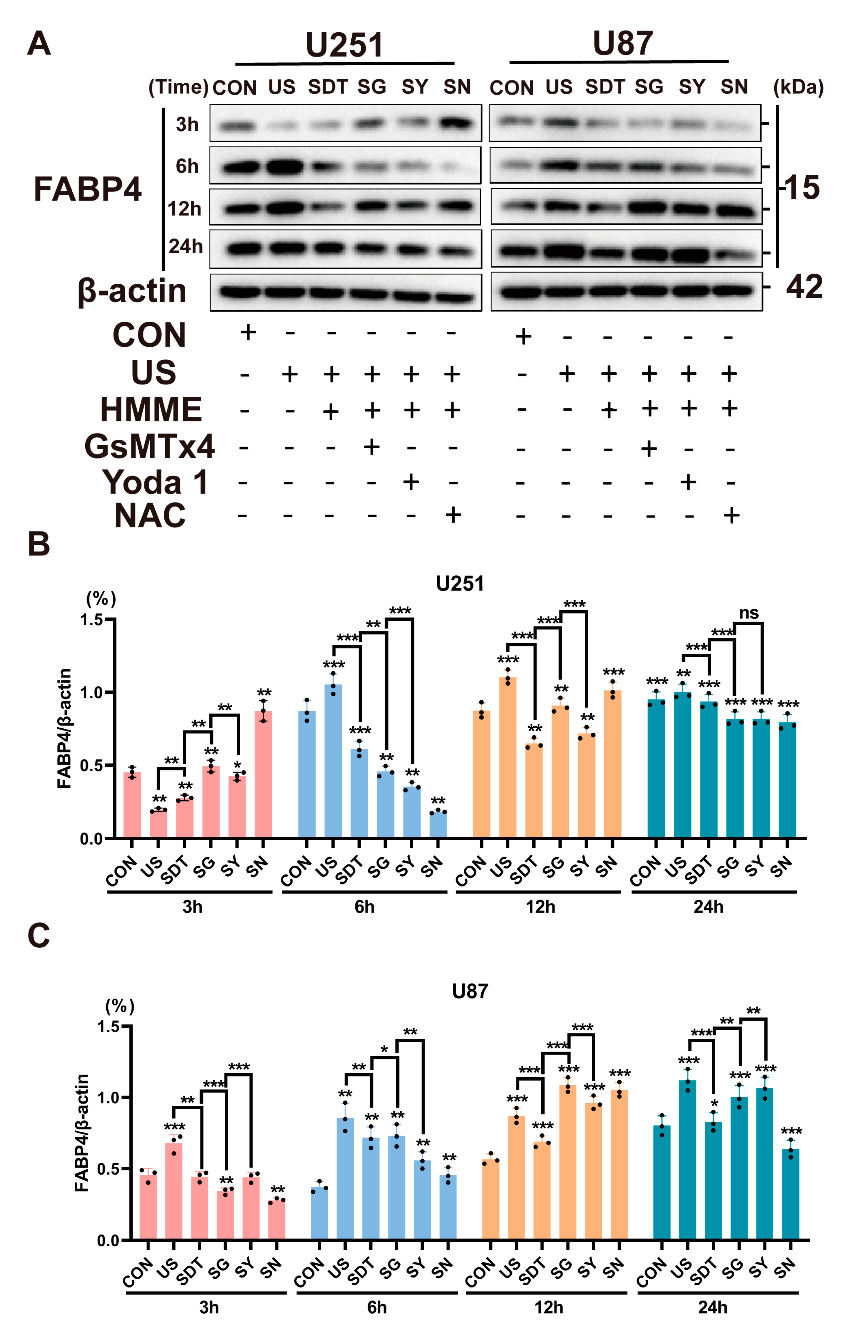 Cancers 14 02036 g006
