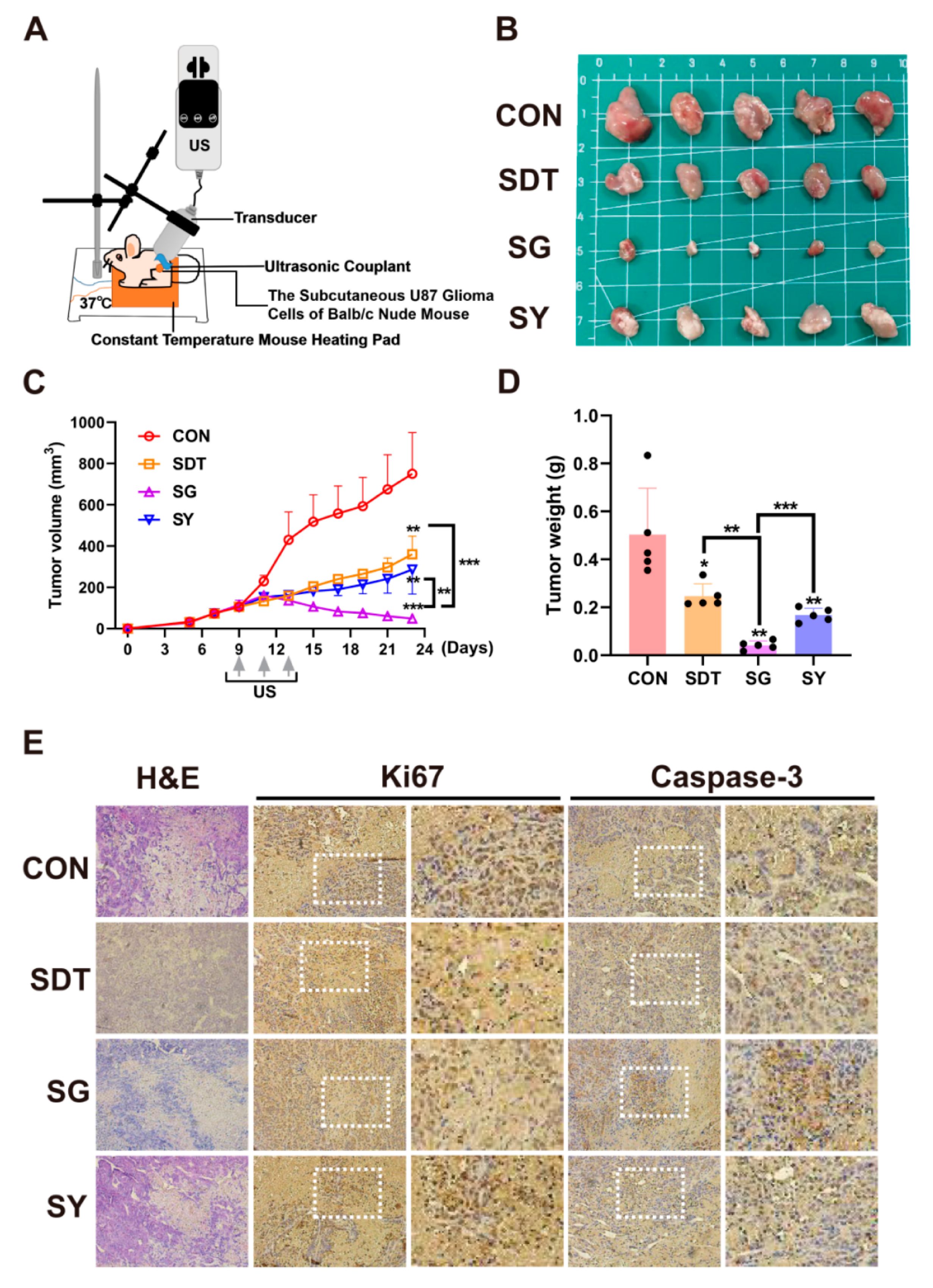 Cancers 14 02036 g007