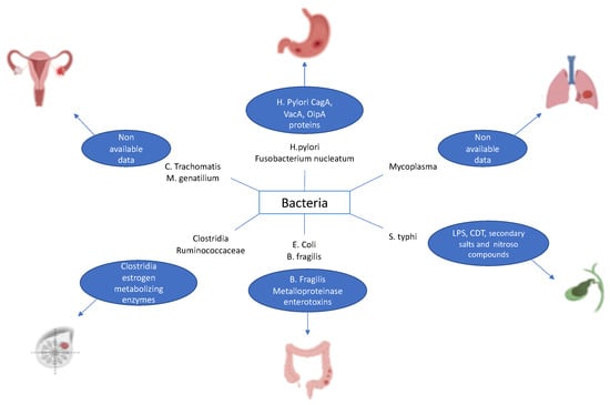 Cancers Free Full Text The Implication Of Gastric Microbiome In The Treatment Of Gastric Cancer