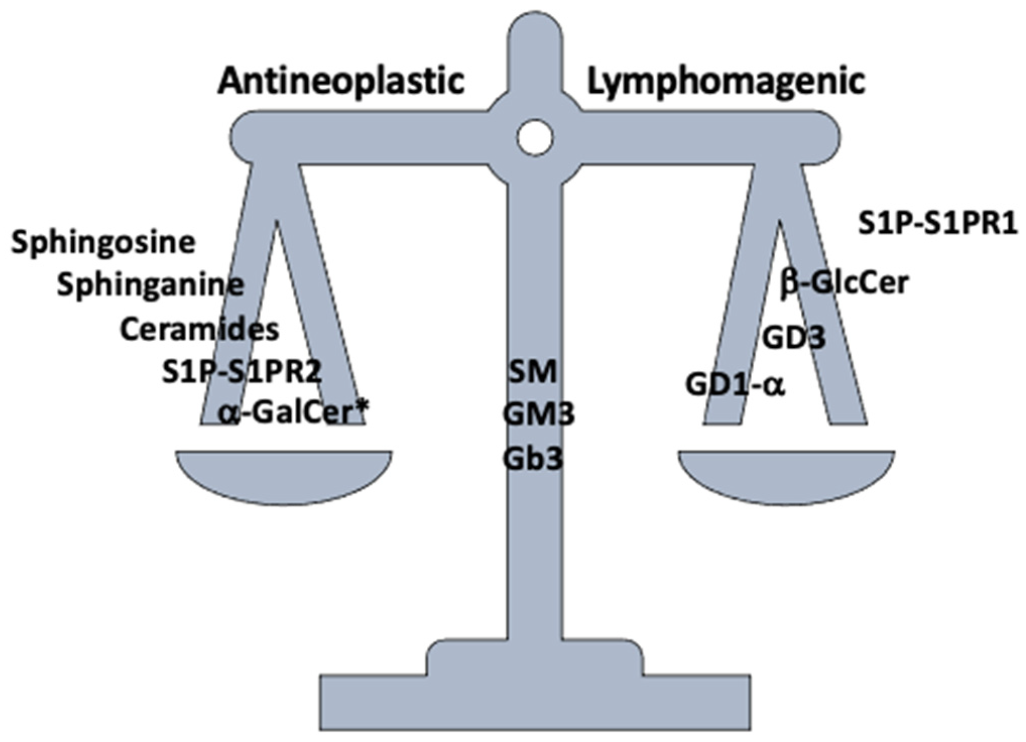 Cancers 14 02051 g002 Cancers 14 02051 g002