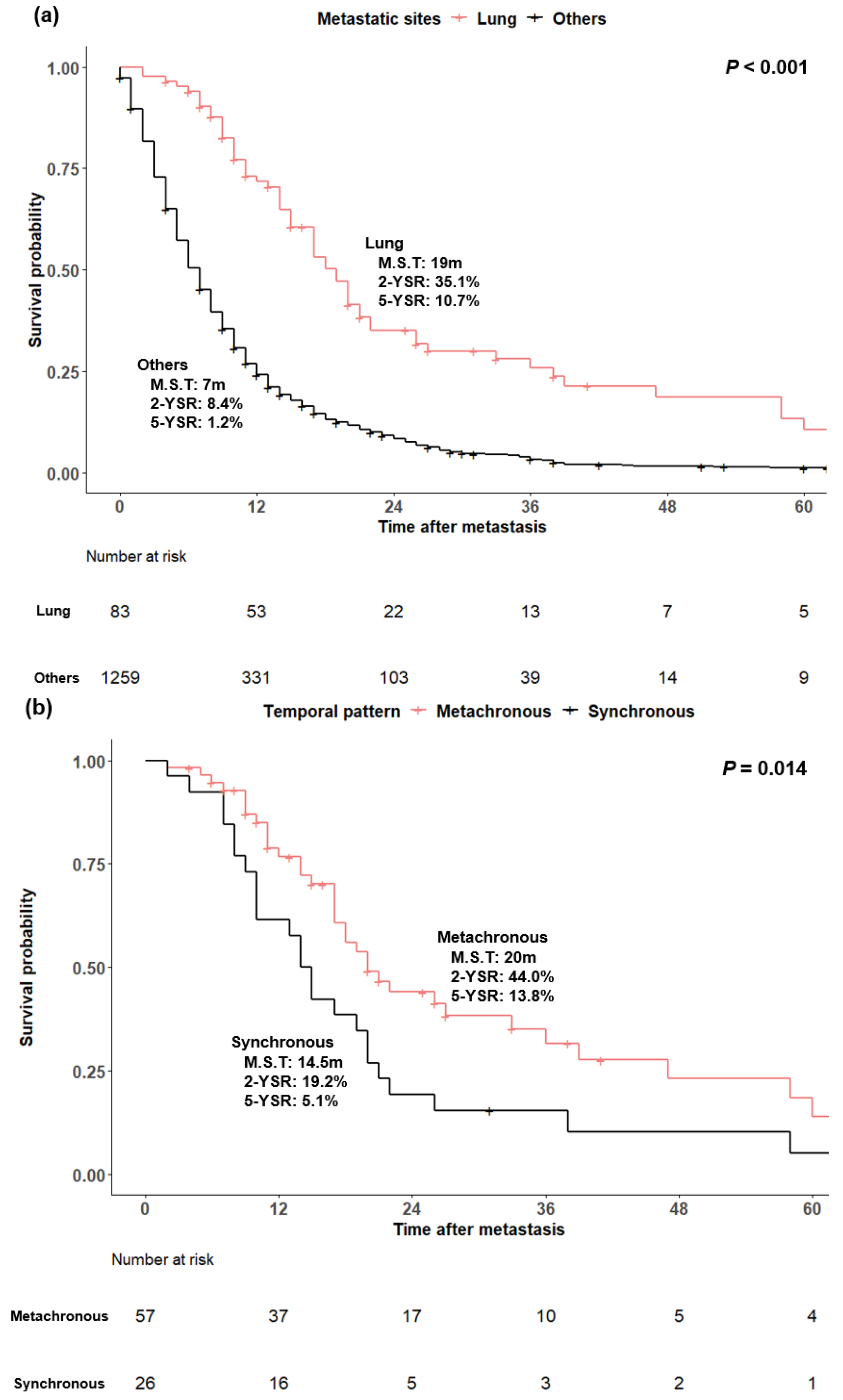 Cancers 14 02067 g003a Cancers 14 02067 g003a