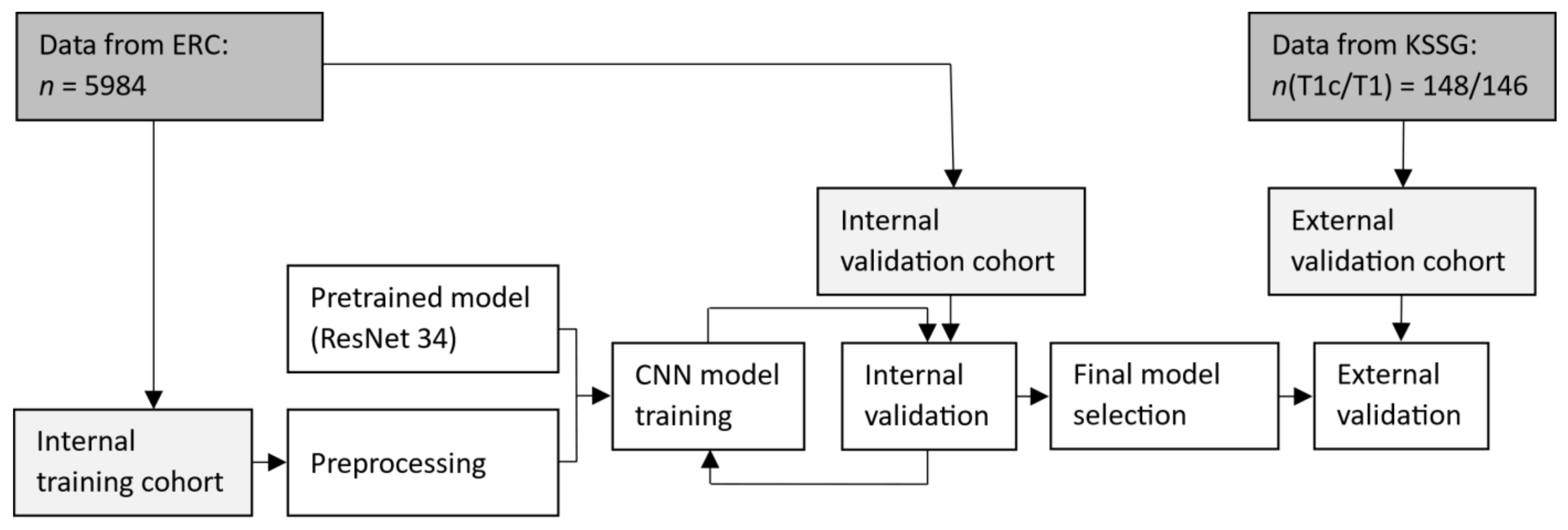Cancers 14 02069 g001