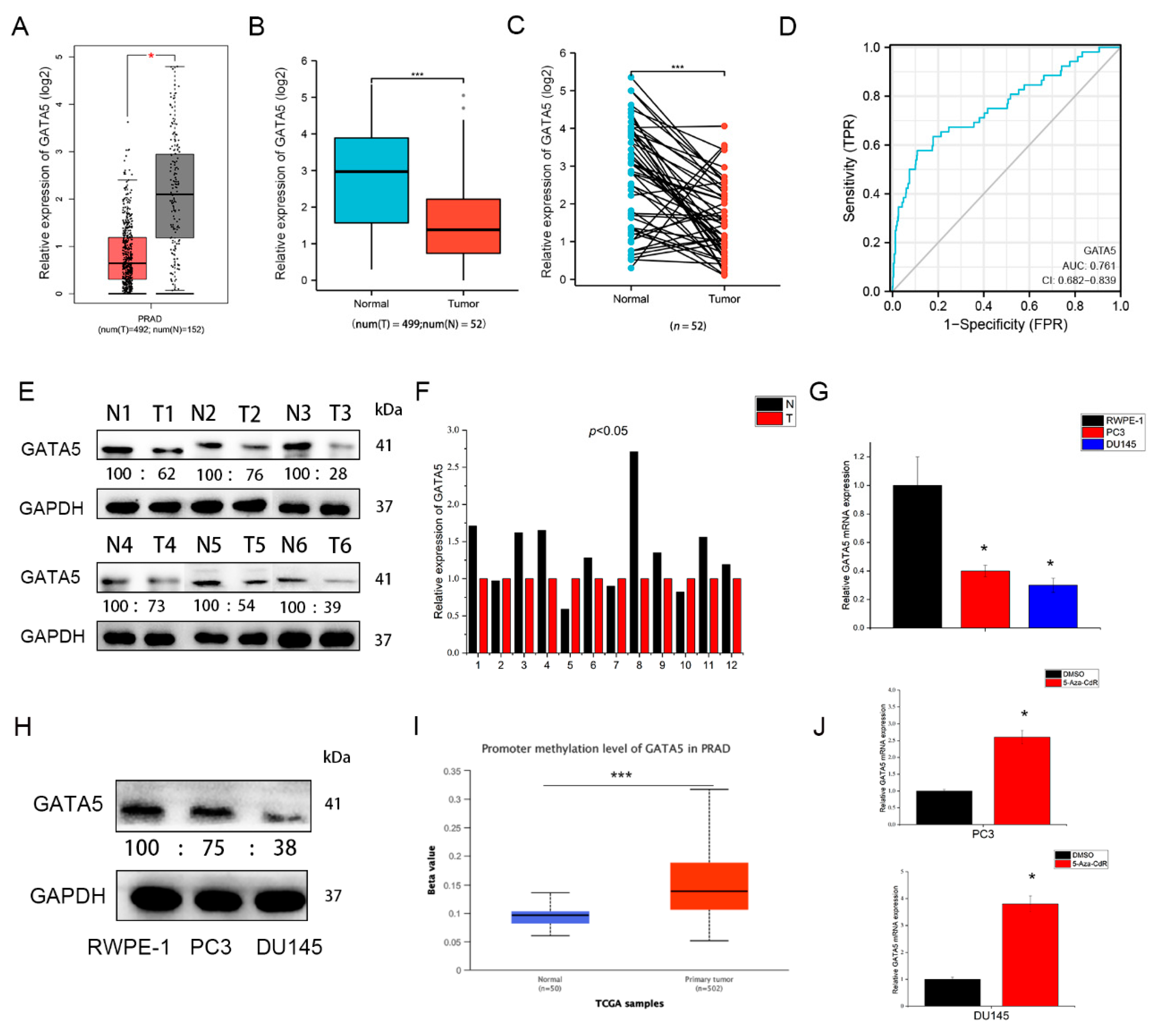 Cancers 14 02074 g001