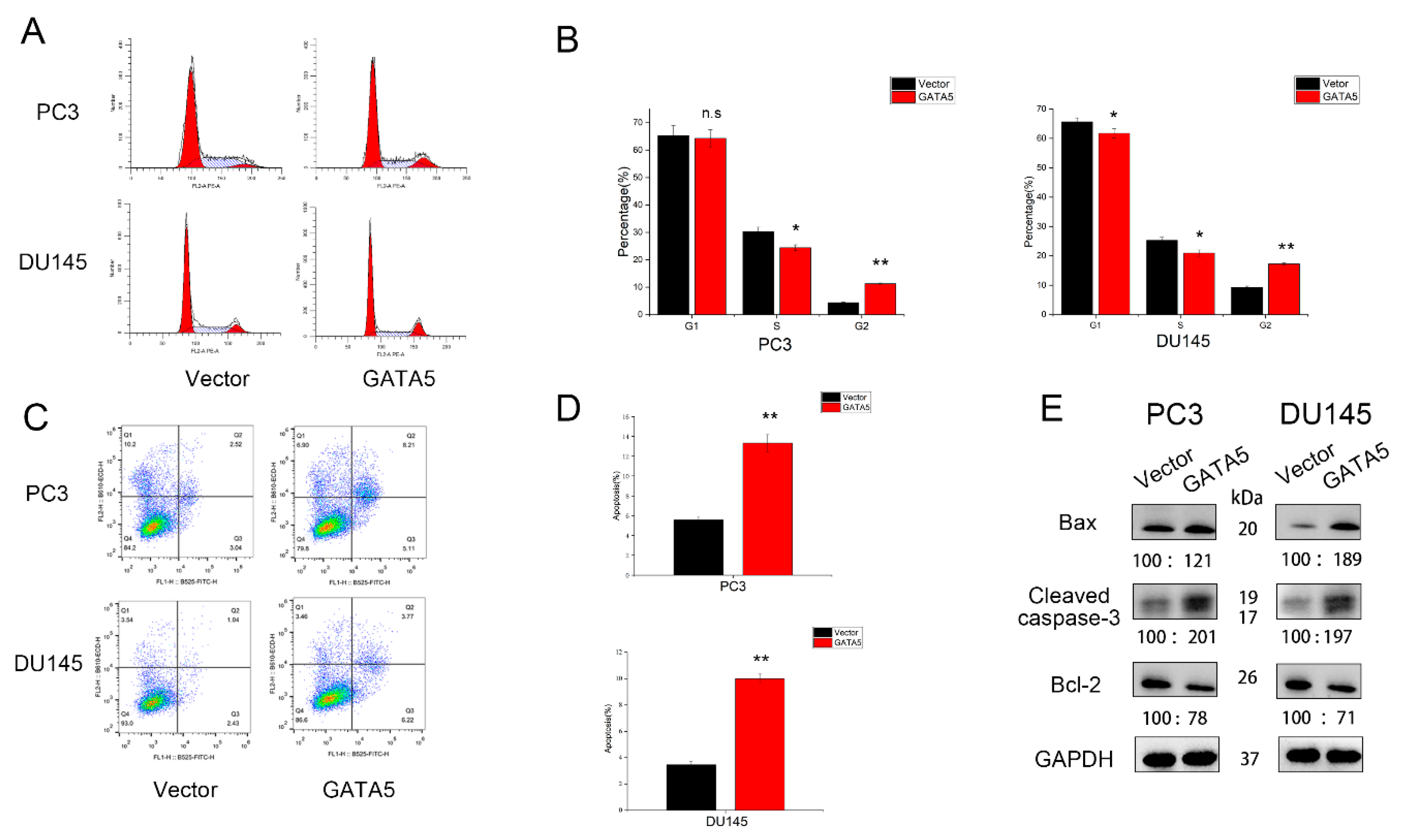 Cancers 14 02074 g003