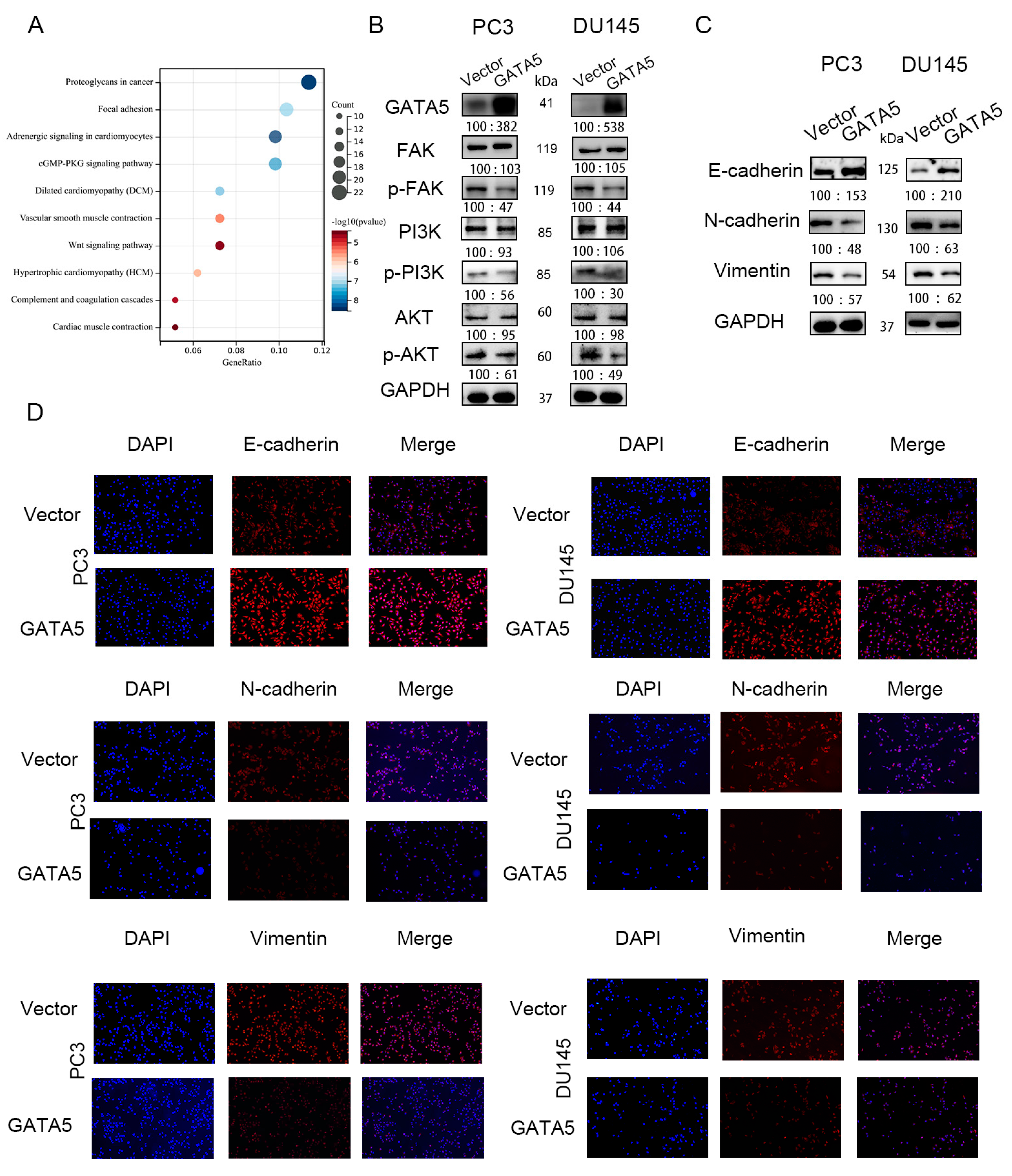 Cancers 14 02074 g004
