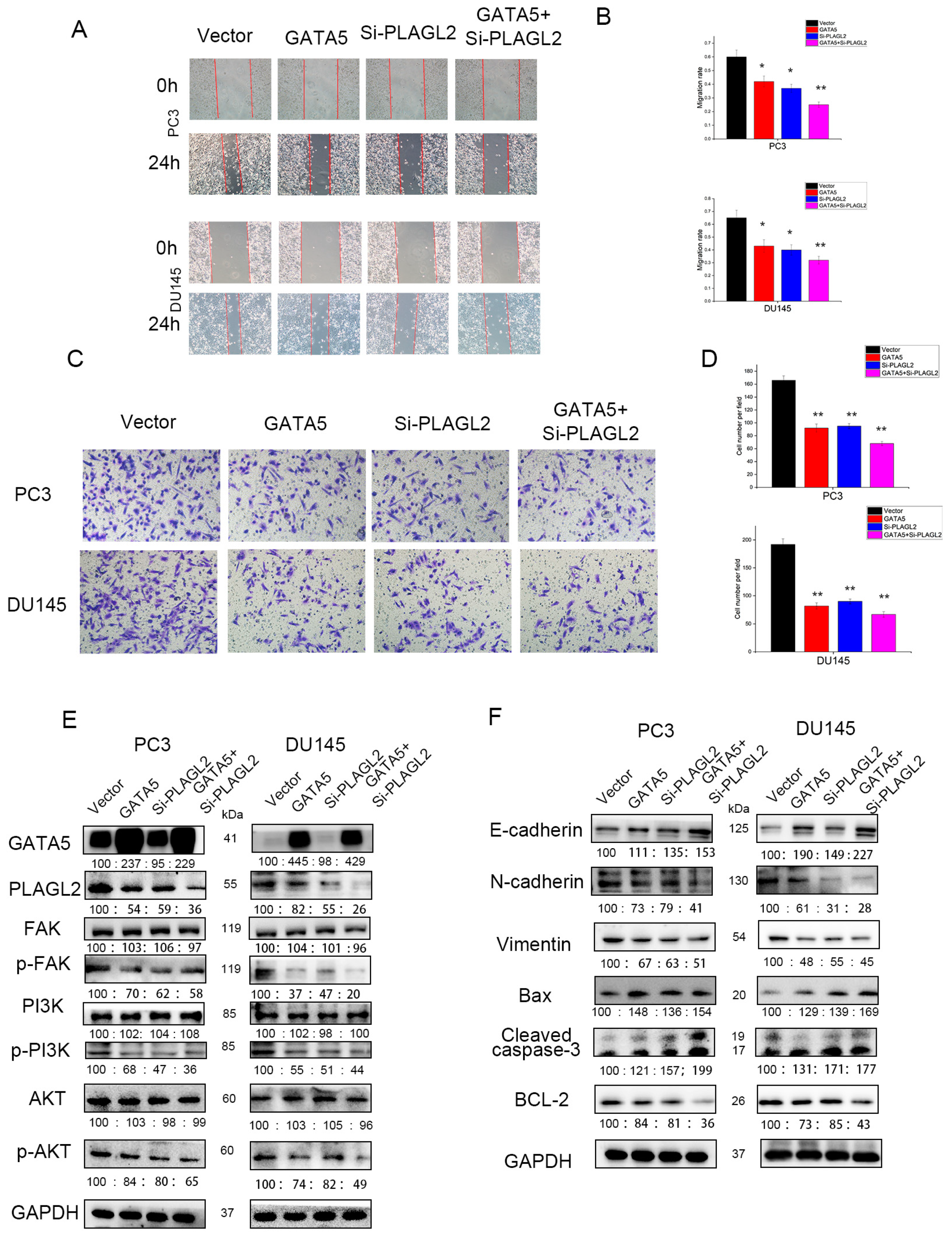 Cancers 14 02074 g007
