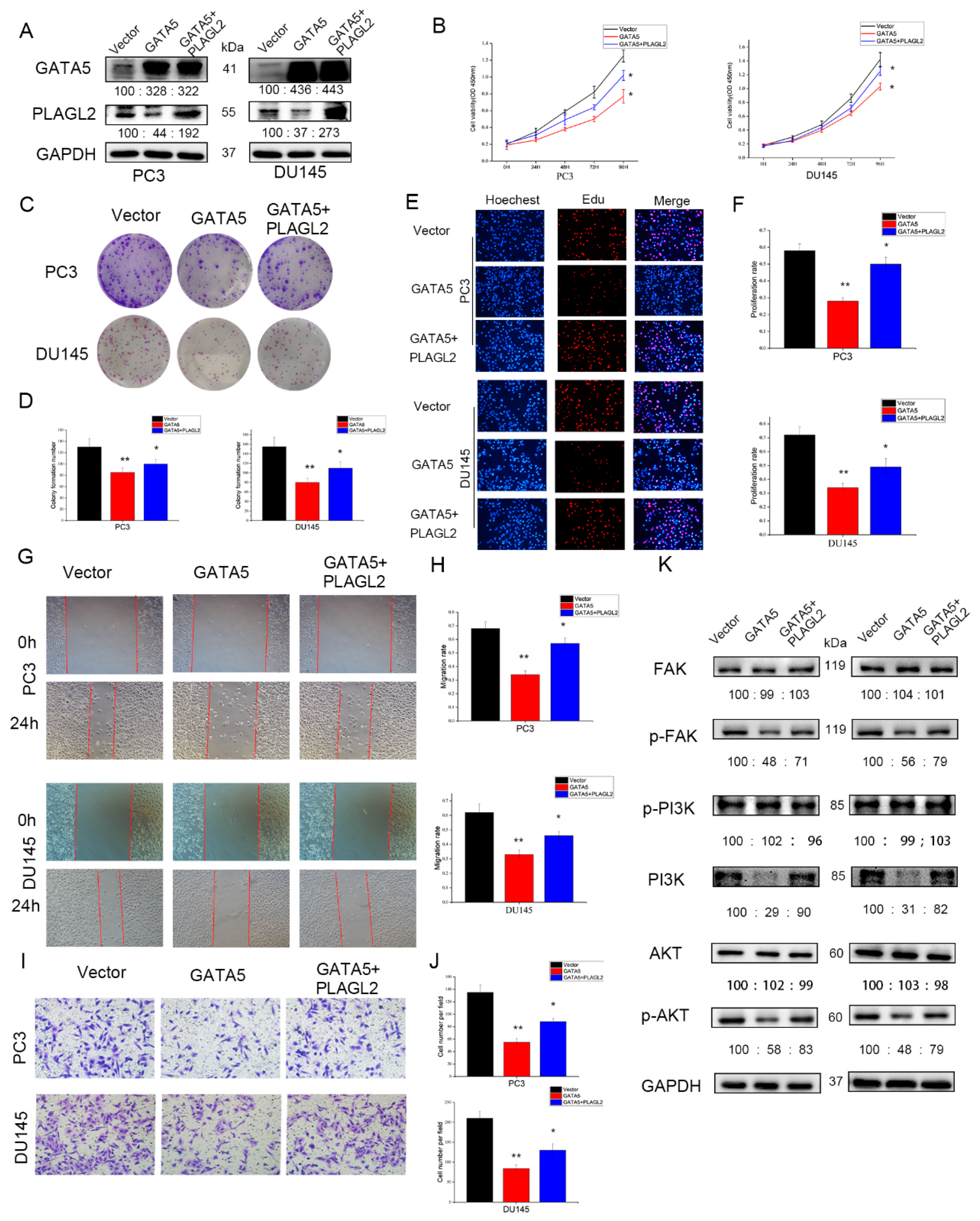 Cancers 14 02074 g008