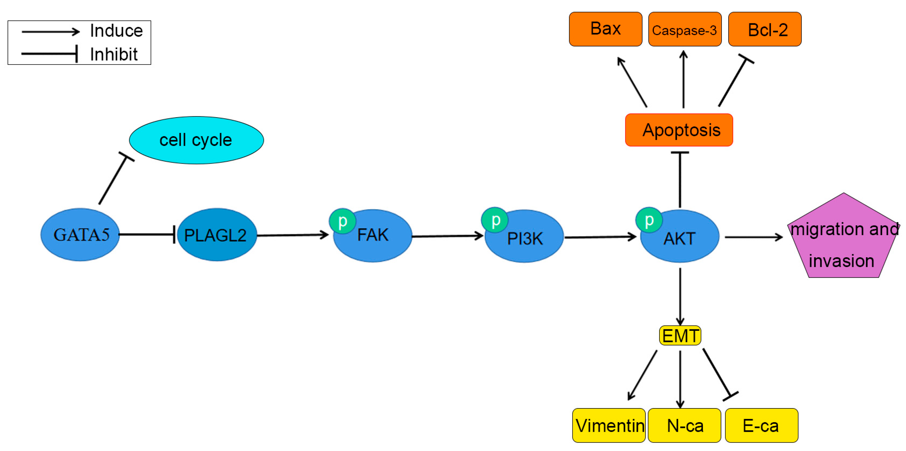 Cancers 14 02074 g009