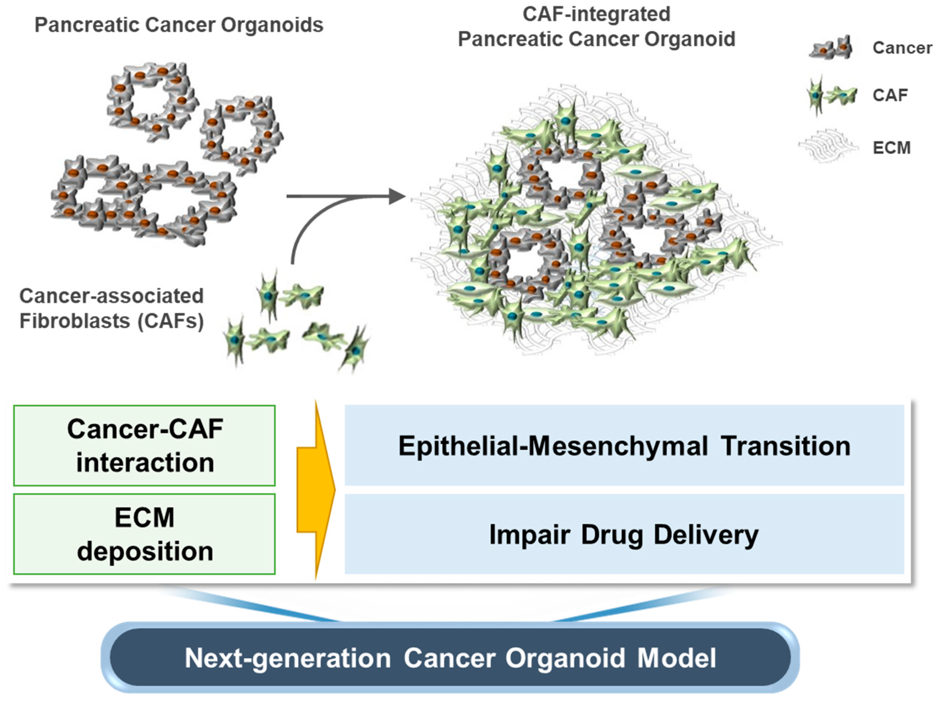 Cancers 14 02077 g005