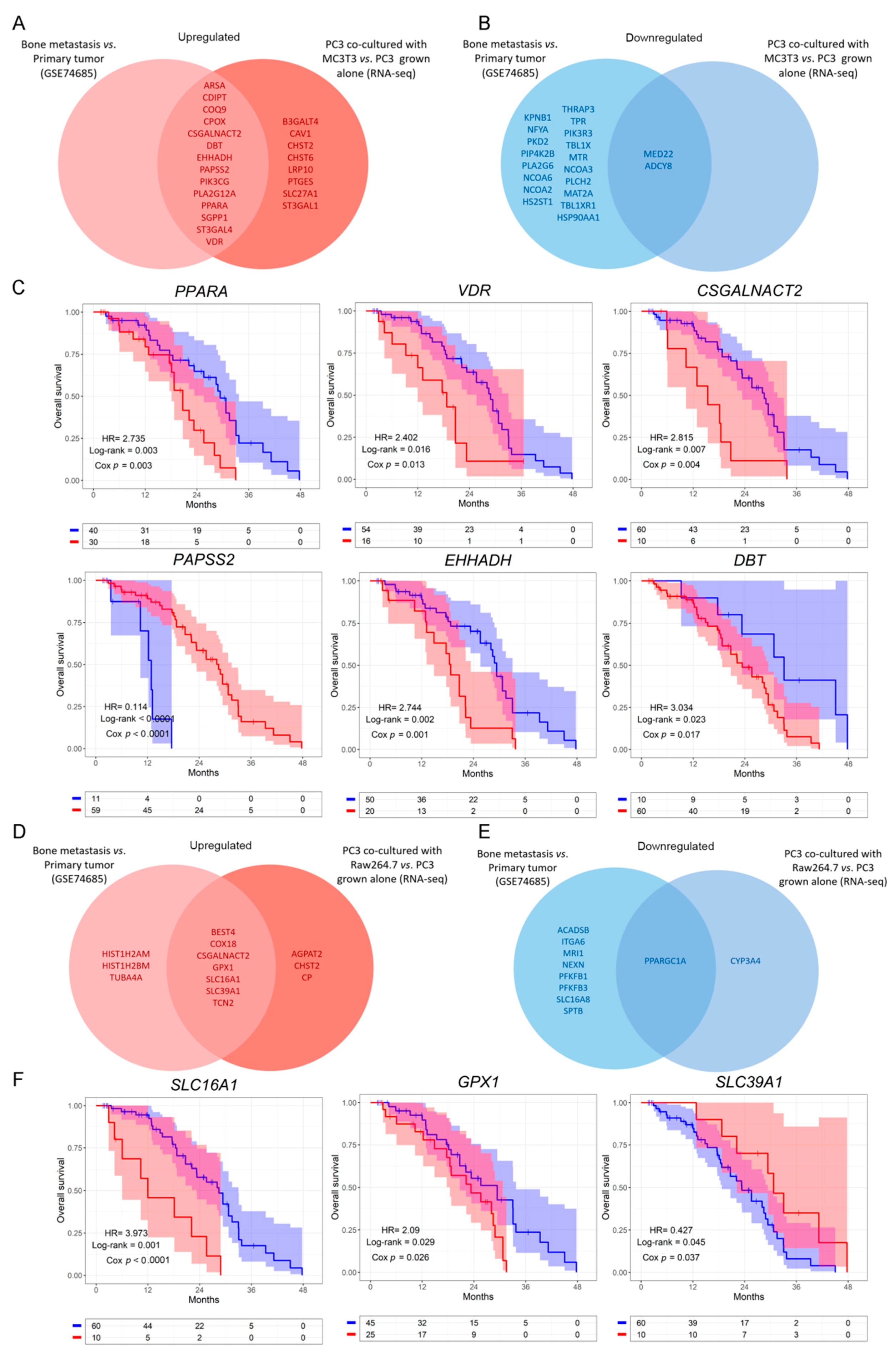 Cancers 14 02083 g003