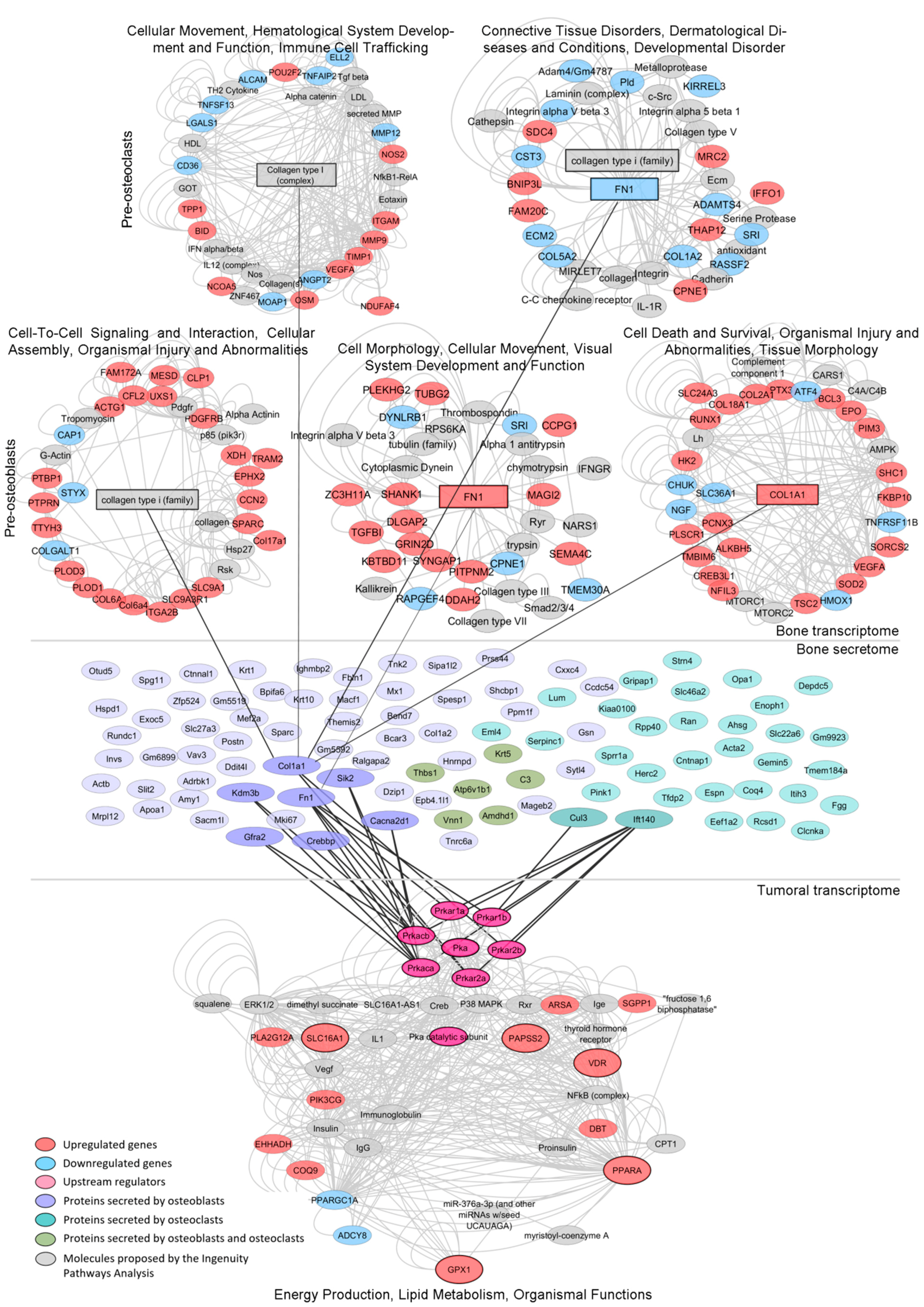 Cancers 14 02083 g005