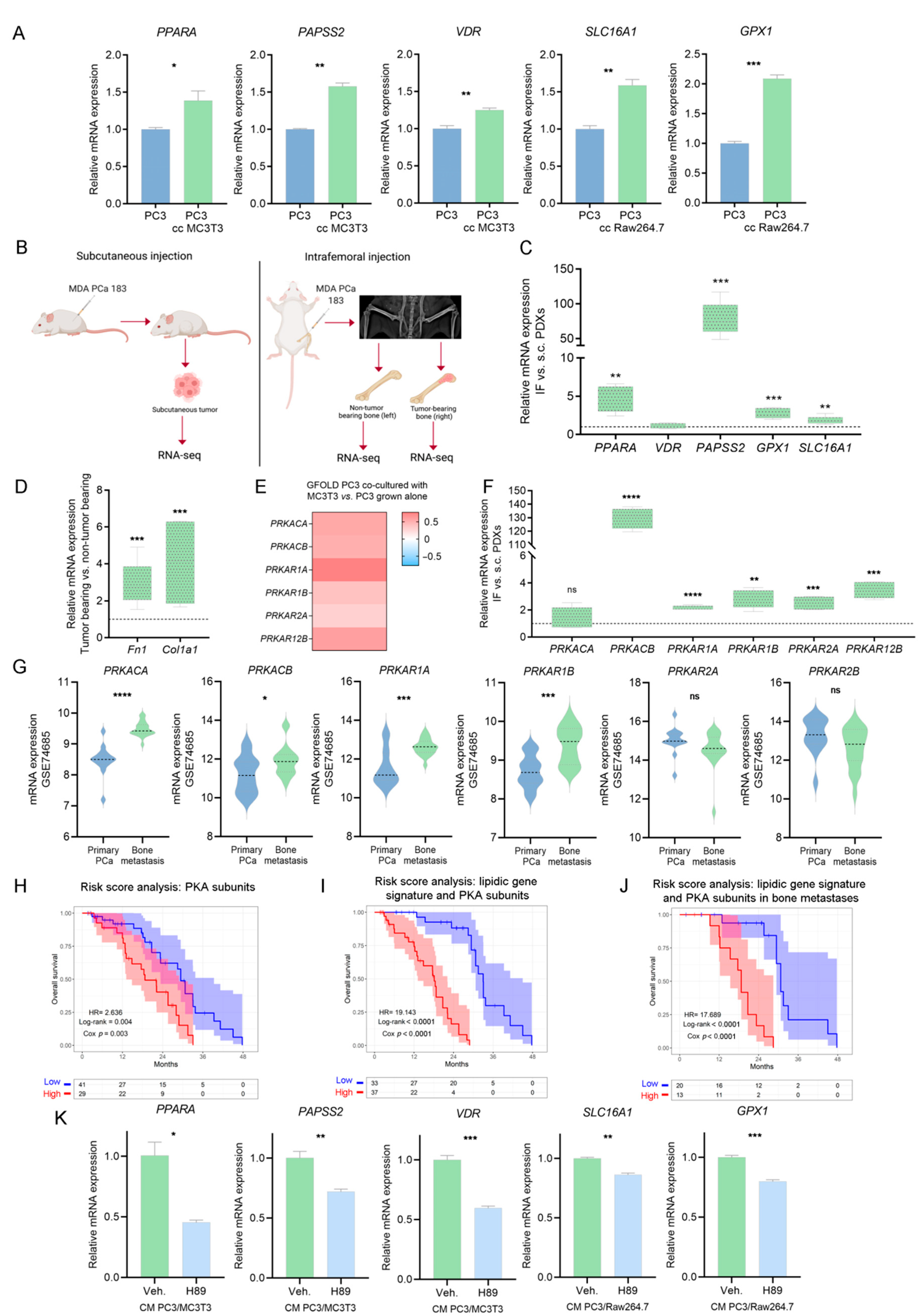 Cancers 14 02083 g006