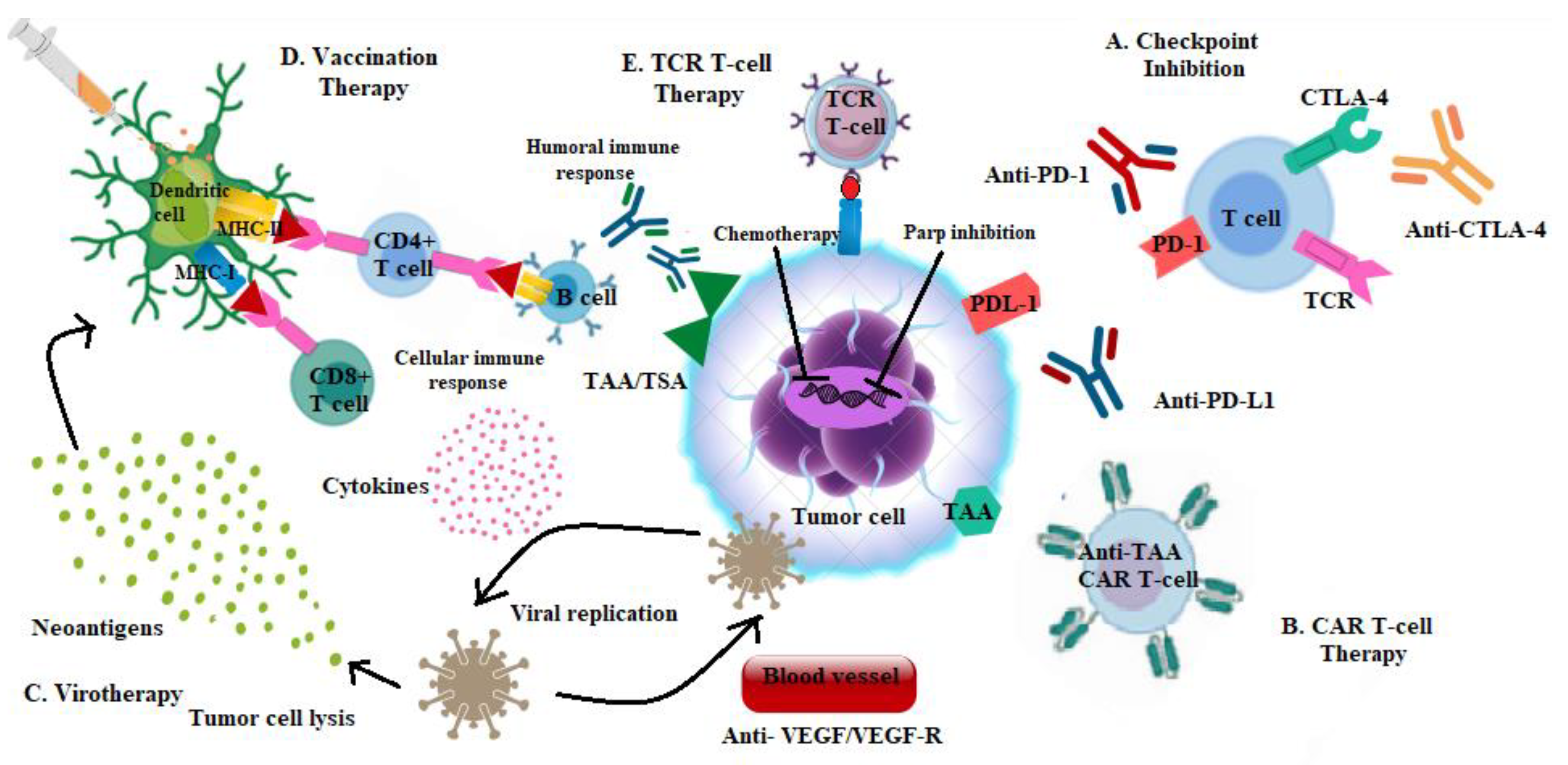 Cancers | Free Full-Text | Immune-Based Therapy in Triple-Negative Breast  Cancer: From Molecular Biology to Clinical Practice