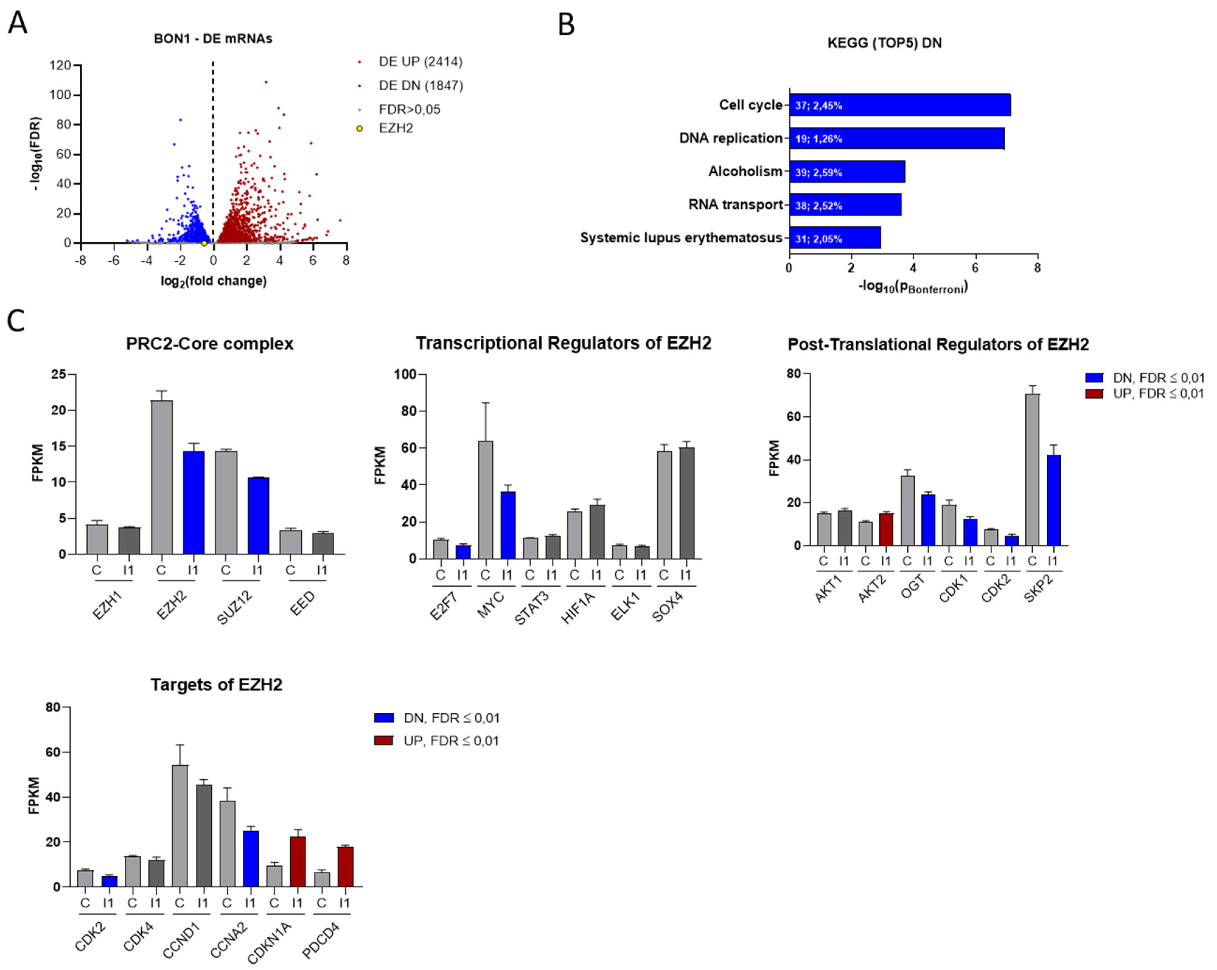 Cancers 14 02121 g003