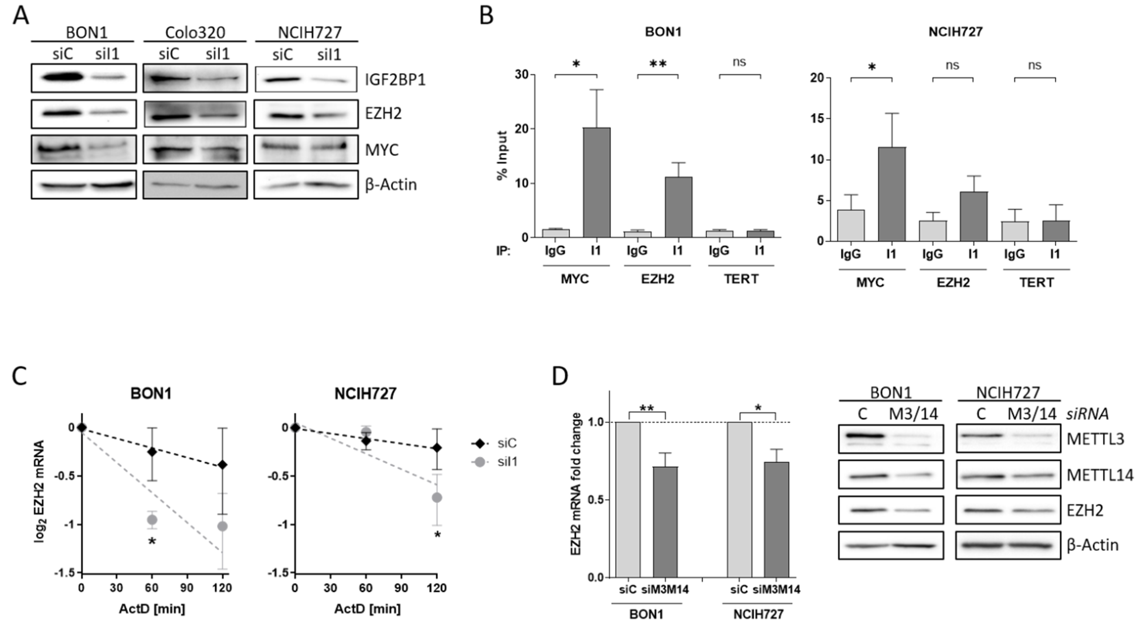 Cancers 14 02121 g004