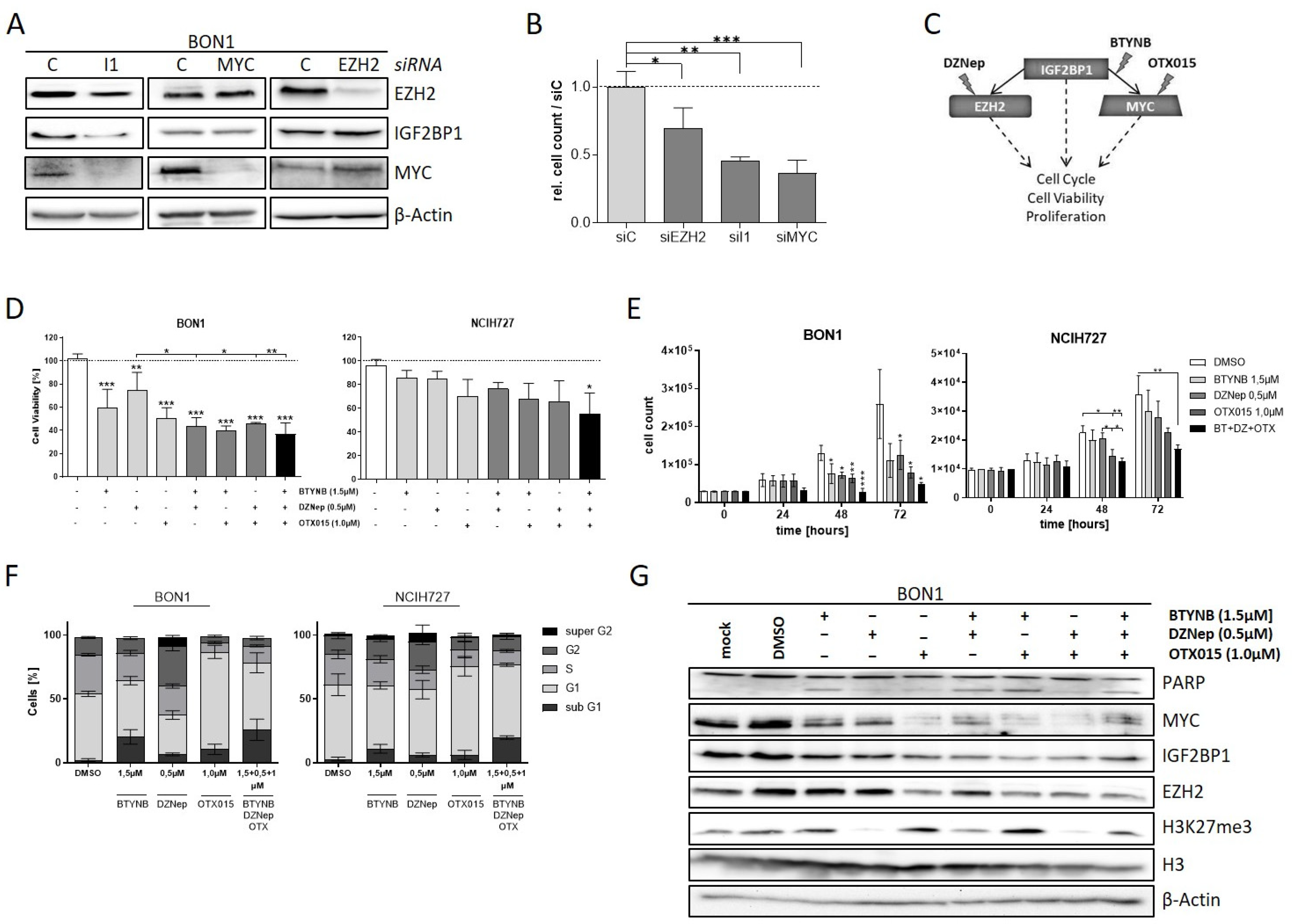 Cancers 14 02121 g005