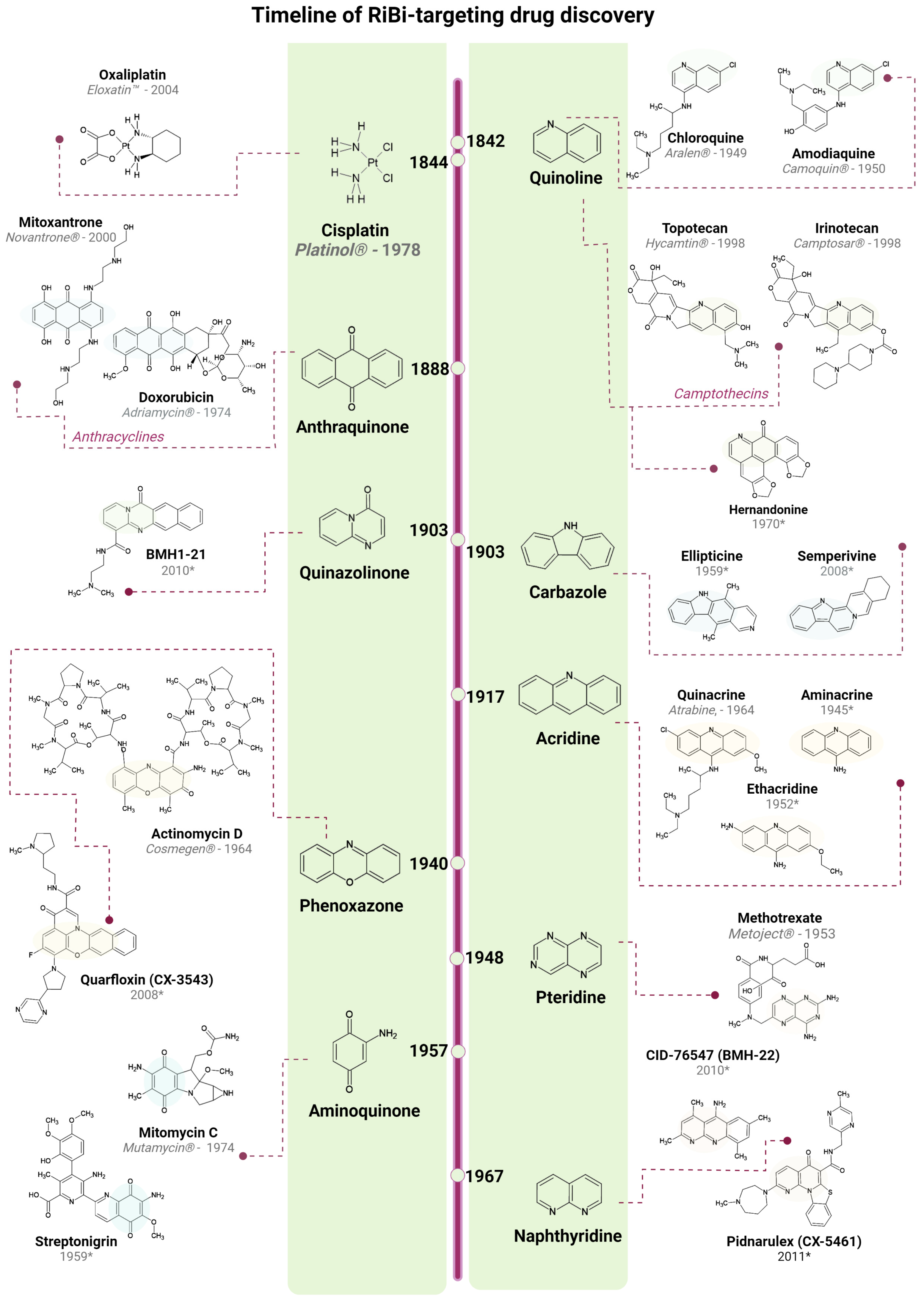 Cancers Free Full Text Targeting Ribosome Biogenesis In Cancer Lessons Learned And Way Forward Html