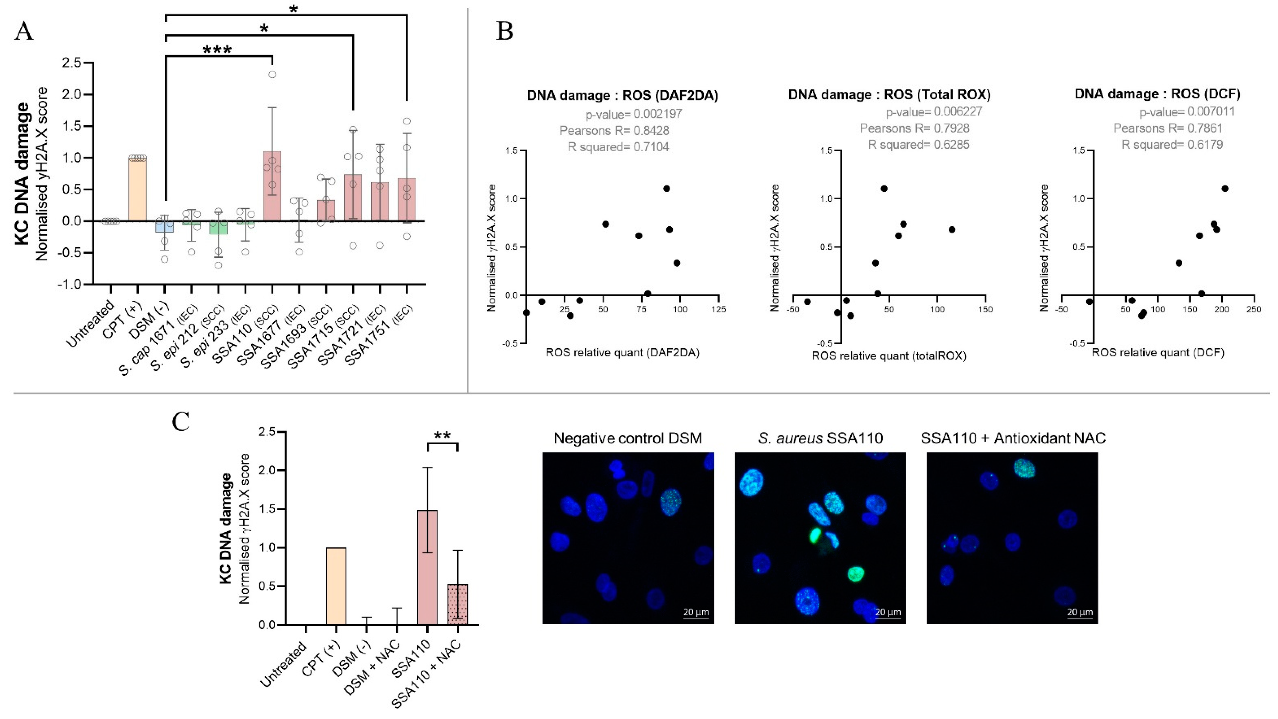 Cancers 14 02143 g005