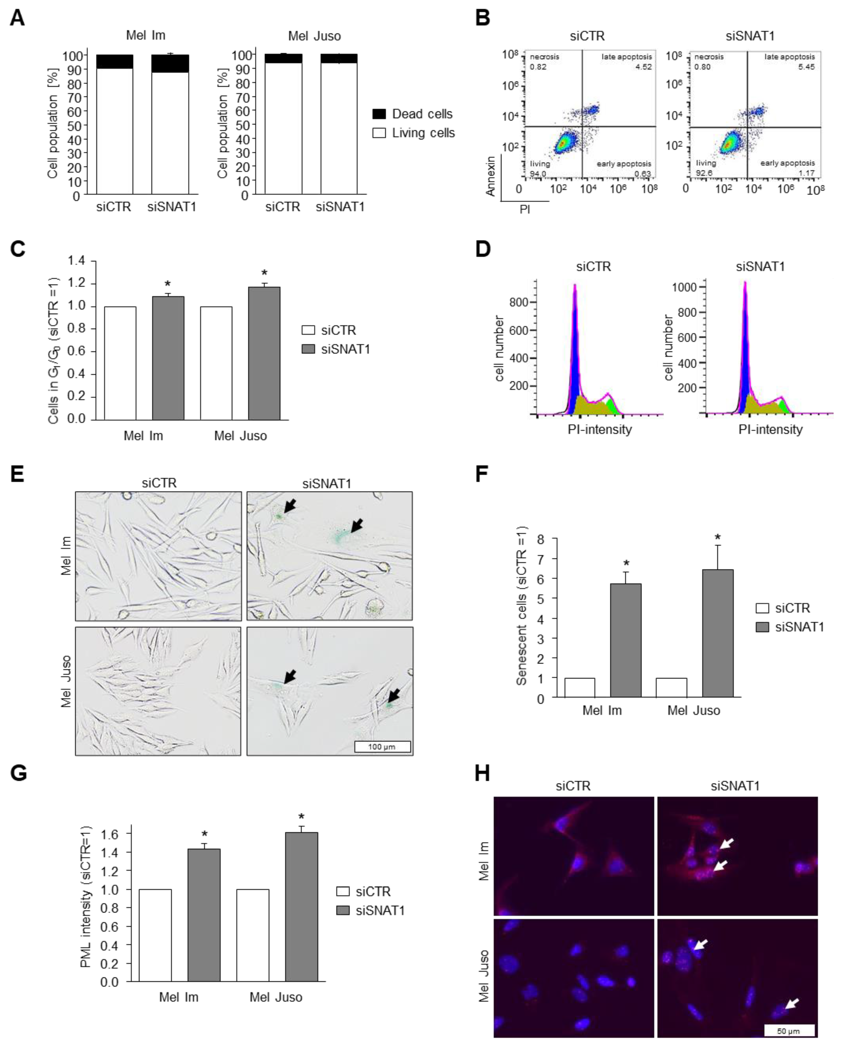 Cancers 14 02151 g005 Cancers 14 02151 g005