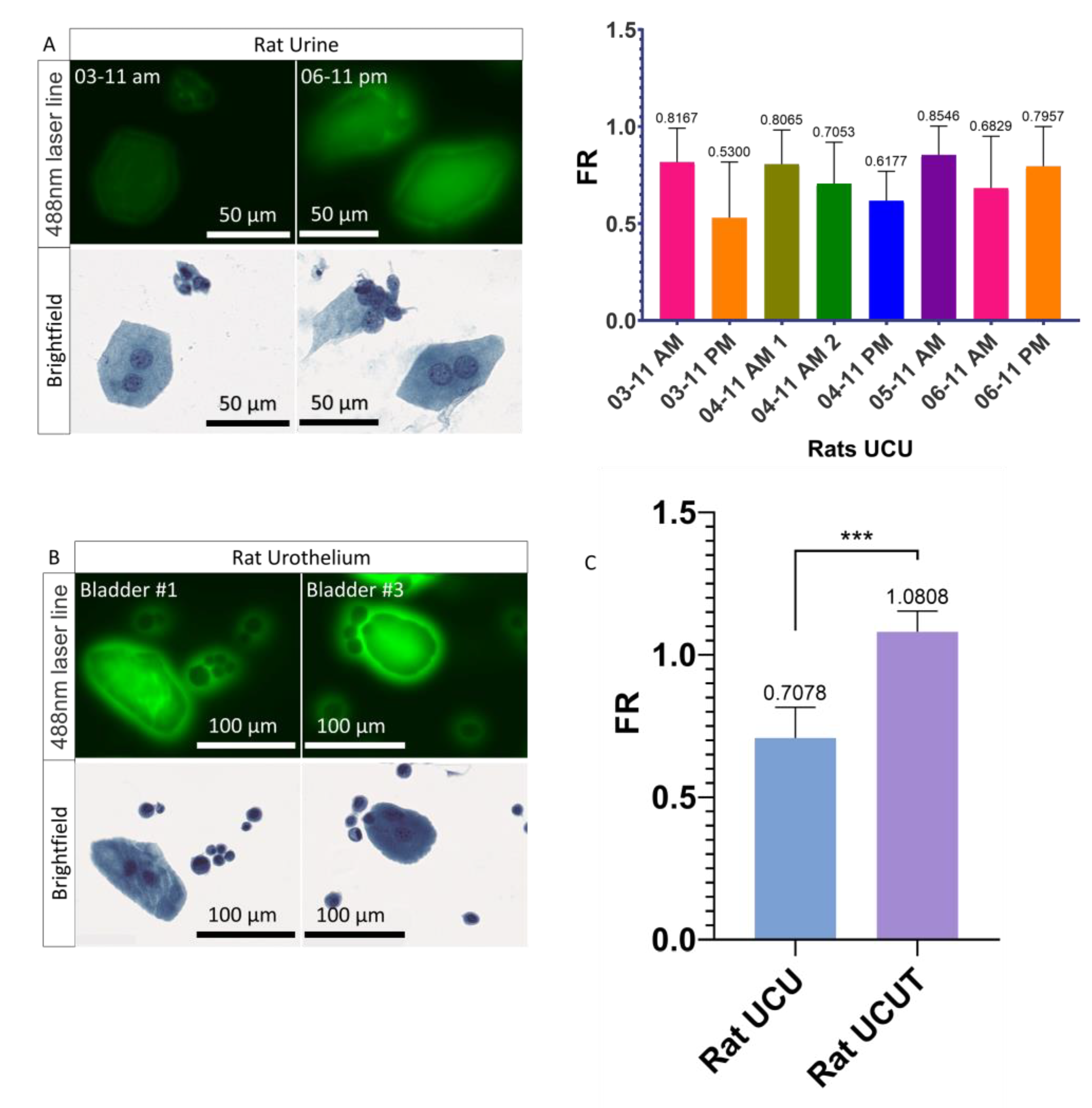 Cancers 14 02171 g003 Cancers 14 02171 g003