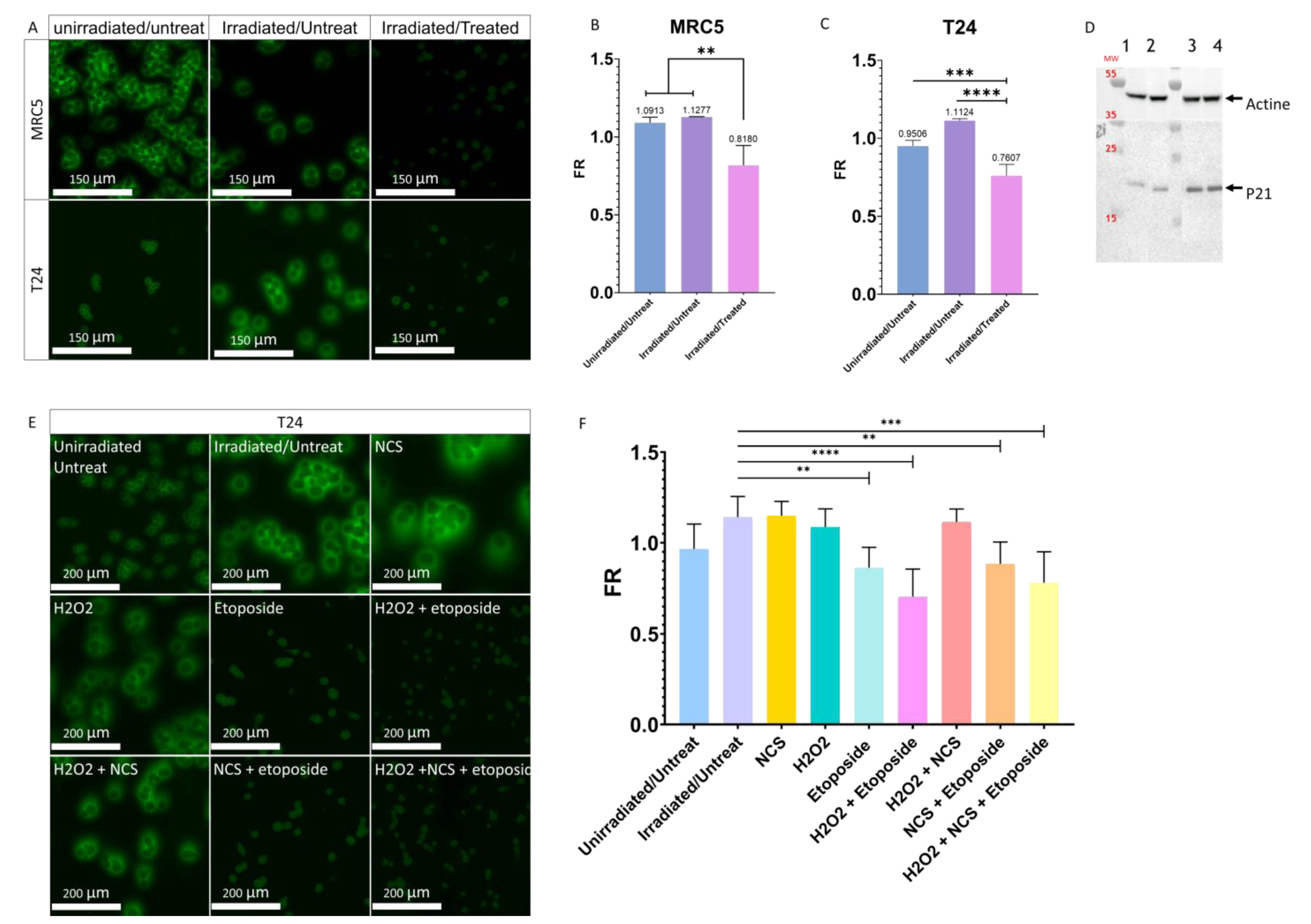 Cancers 14 02171 g005 Cancers 14 02171 g005