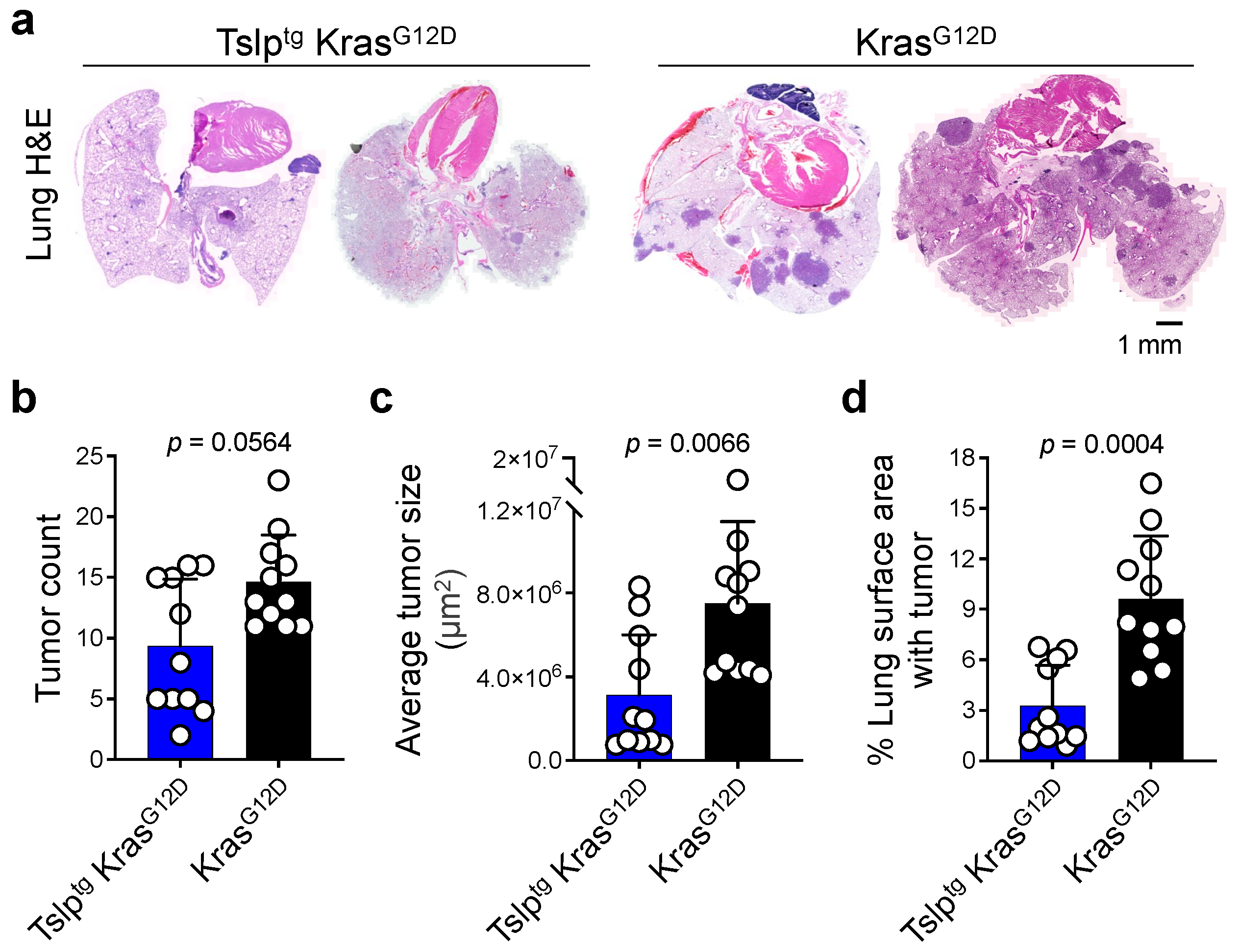 Cancers 14 02173 g001