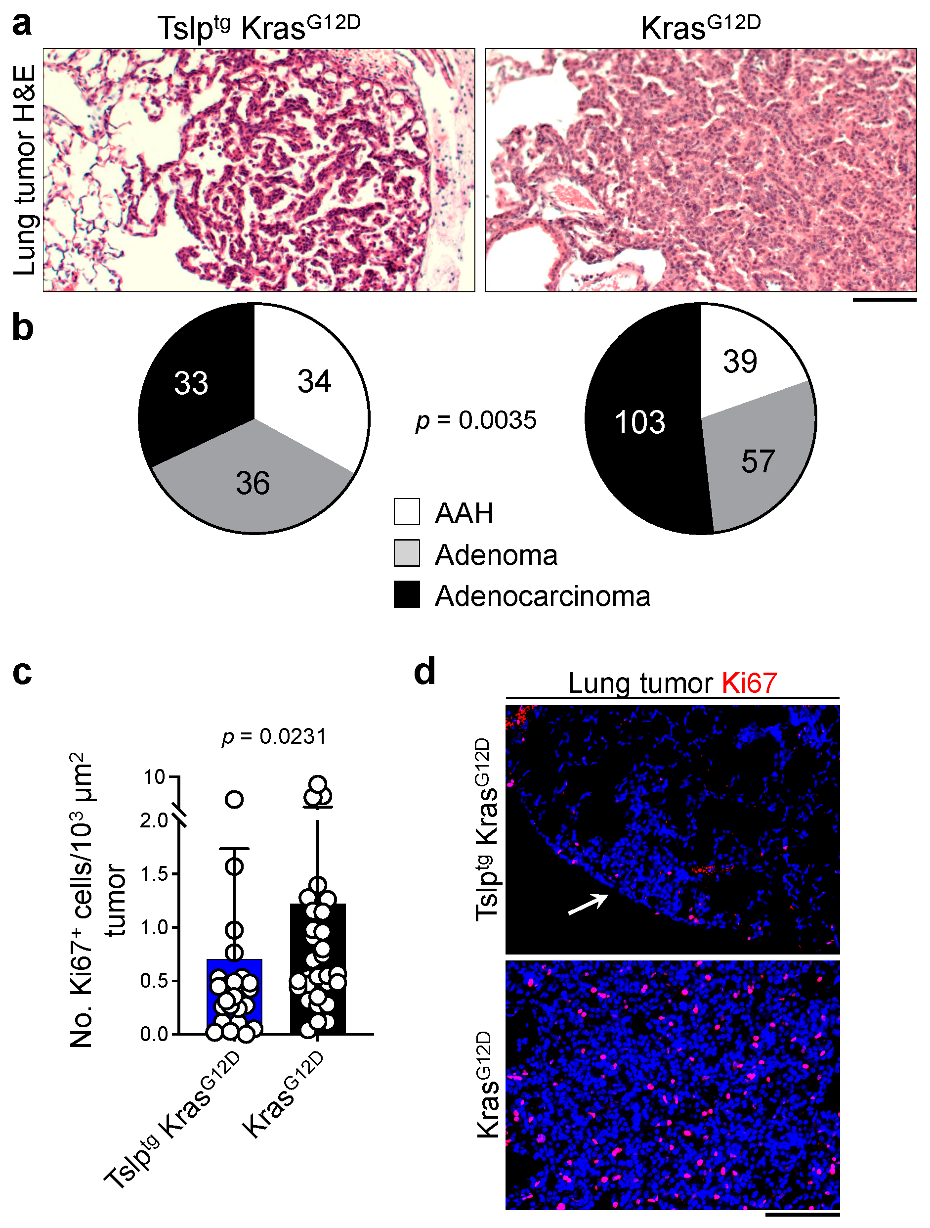 Cancers 14 02173 g002