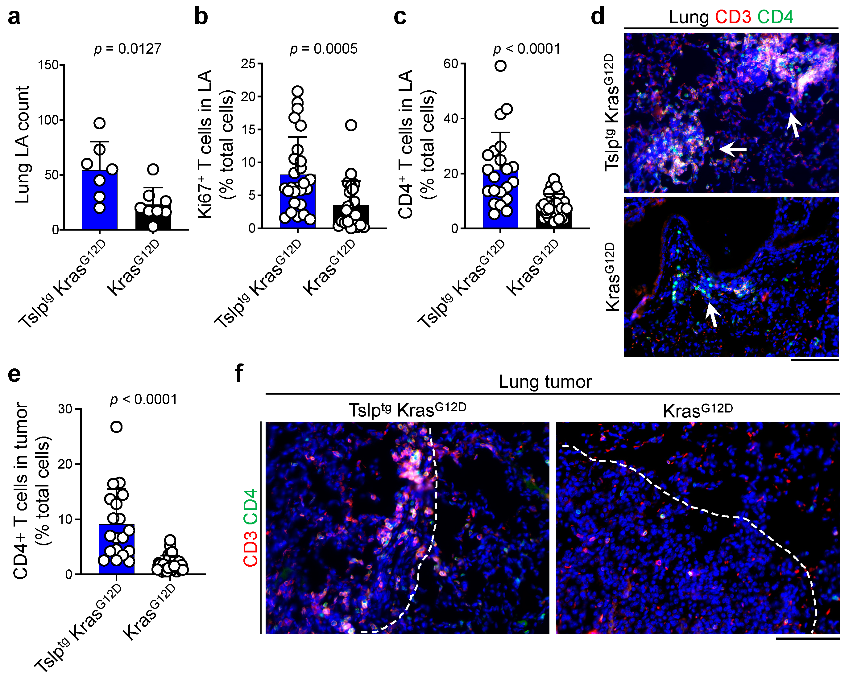 Cancers 14 02173 g003