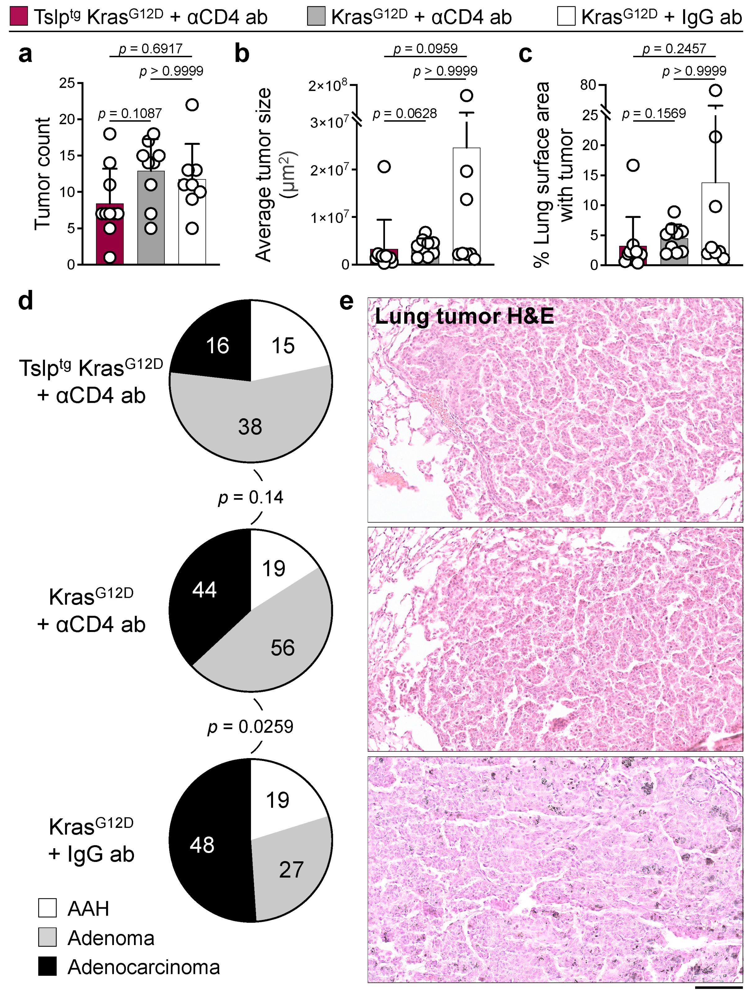 Cancers 14 02173 g004