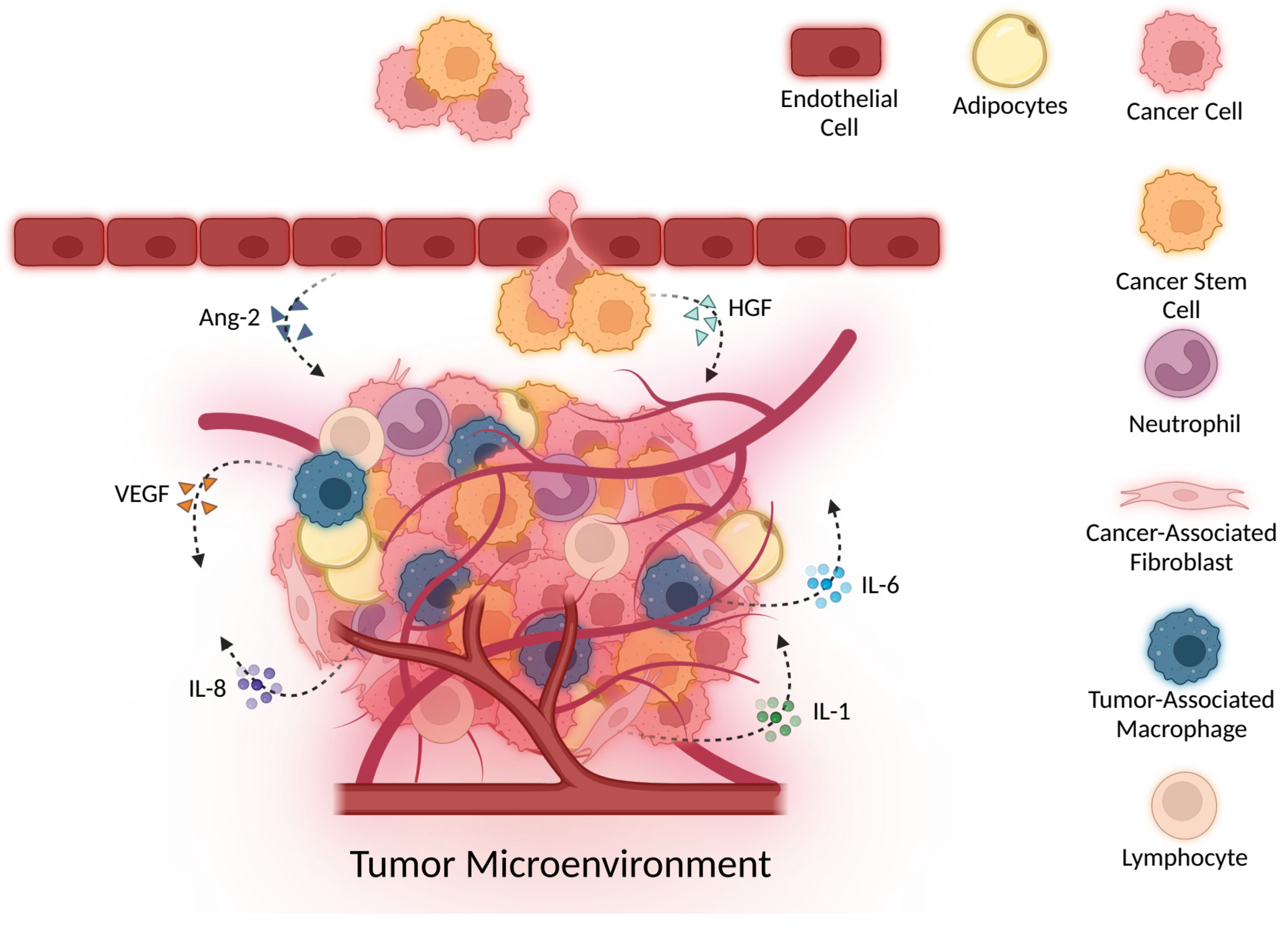 Understanding How Cancer Develops